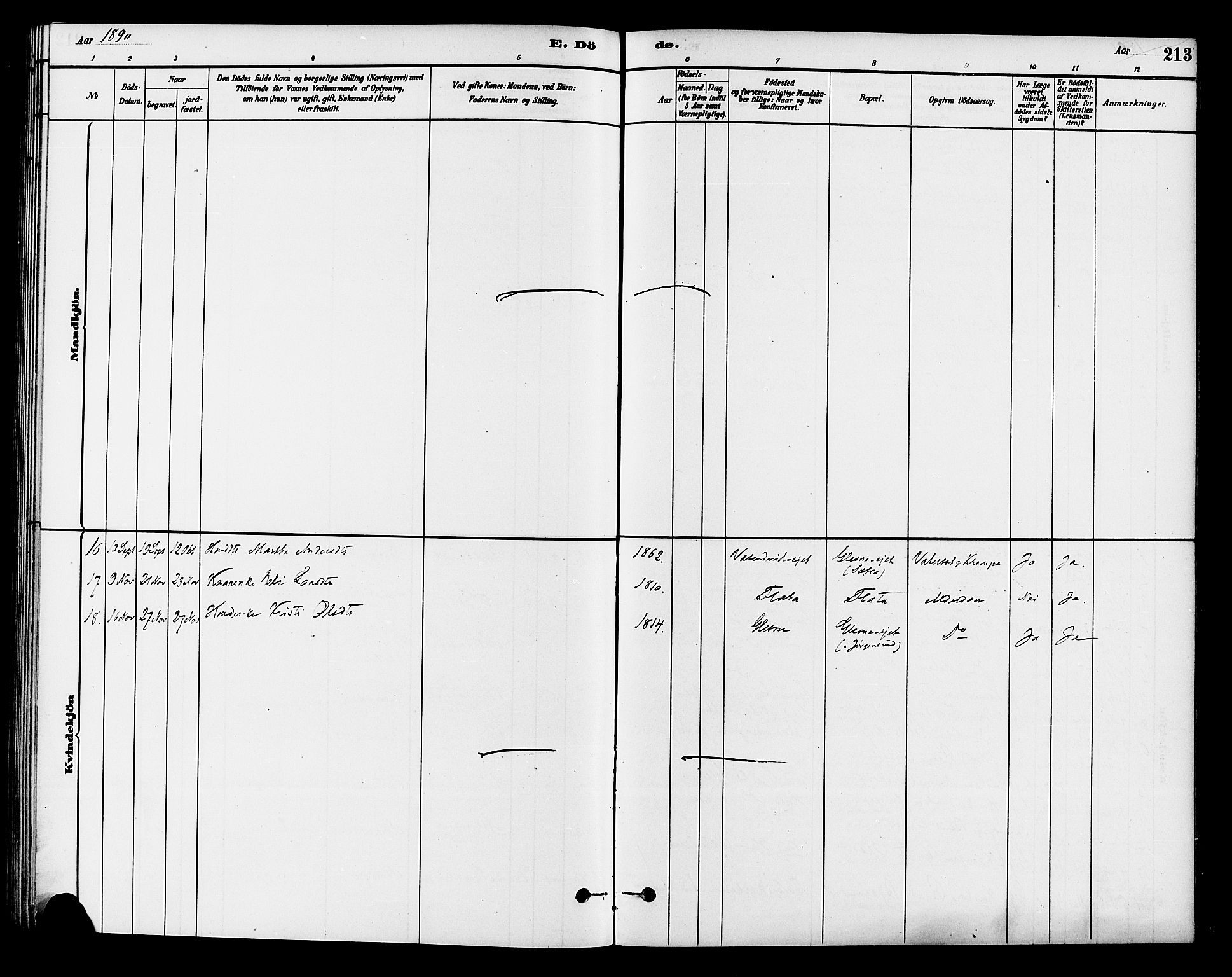 Krødsherad kirkebøker, AV/SAKO-A-19/G/Ga/L0001: Parish register (copy) no. 1, 1879-1893, p. 213