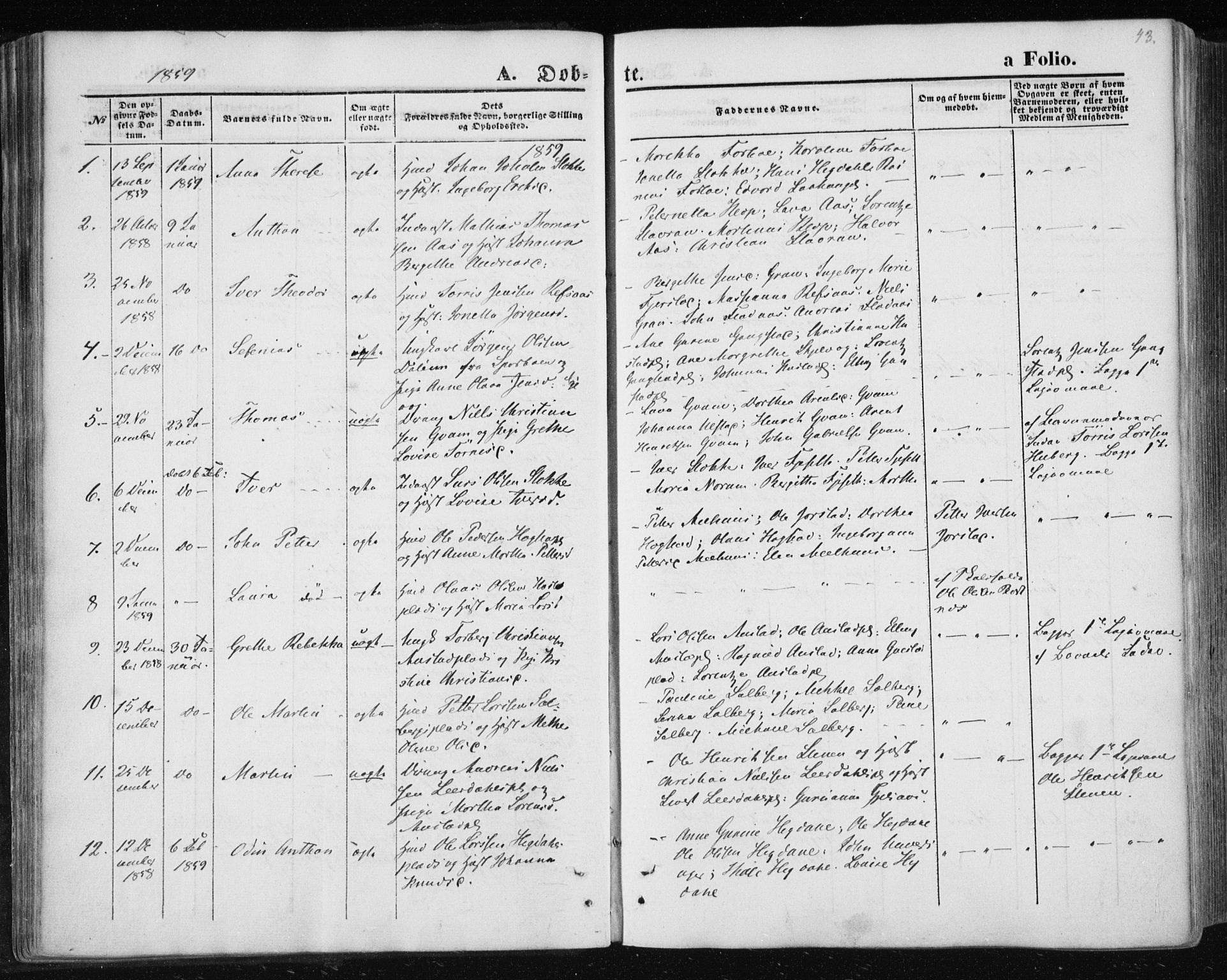 Ministerialprotokoller, klokkerbøker og fødselsregistre - Nord-Trøndelag, SAT/A-1458/730/L0283: Parish register (official) no. 730A08, 1855-1865, p. 43