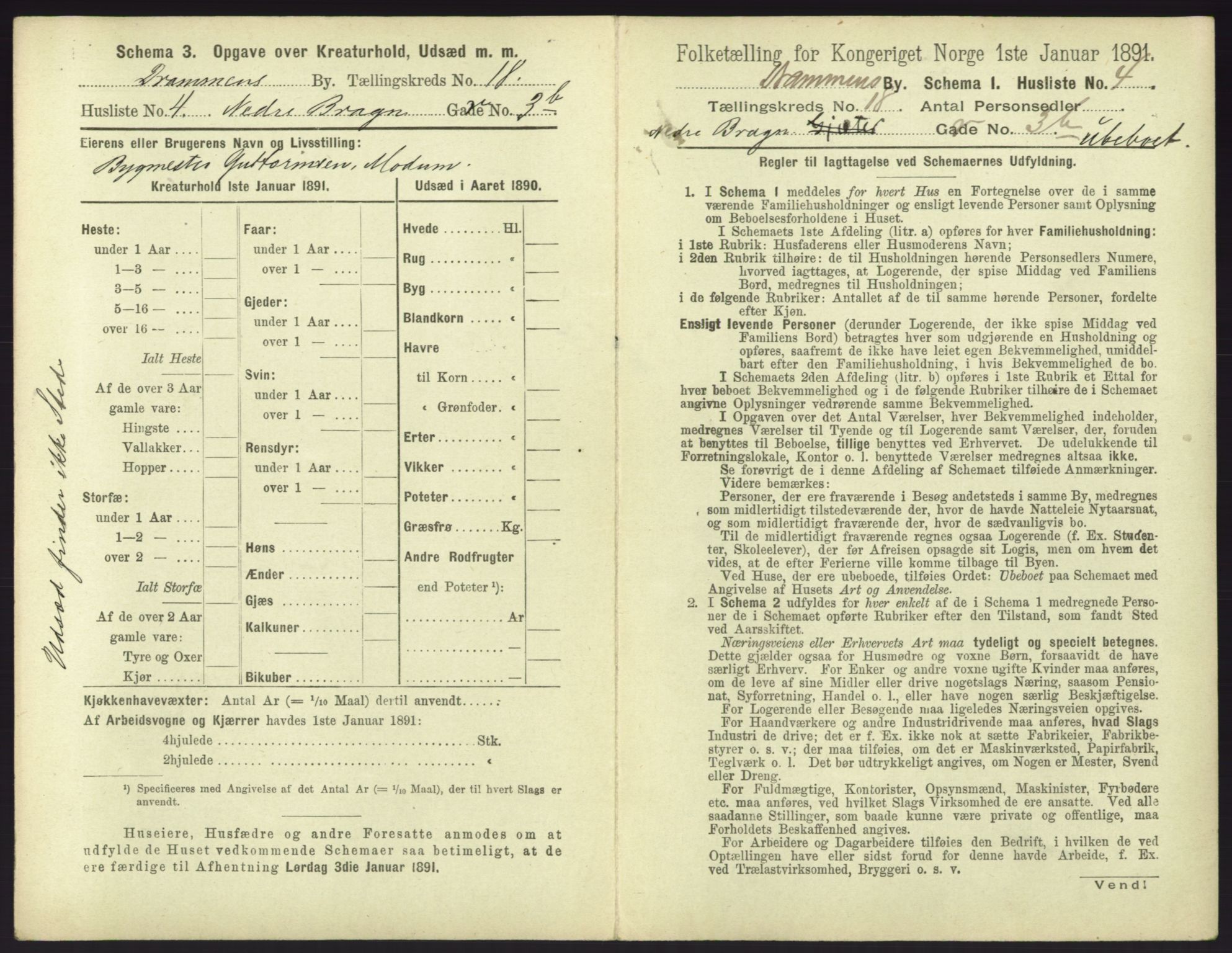 RA, 1891 census for 0602 Drammen, 1891, p. 1495