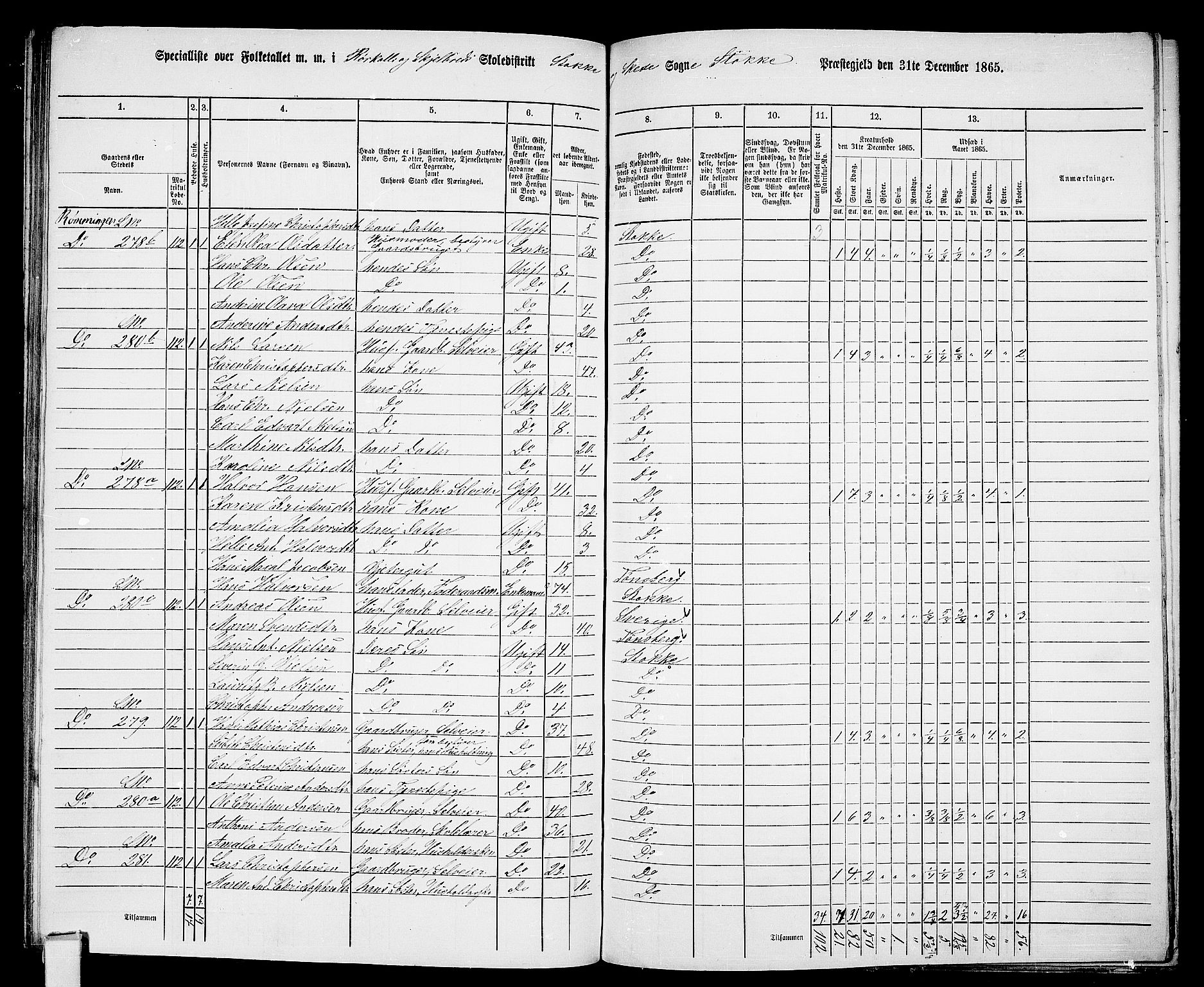 RA, 1865 census for Stokke, 1865, p. 120