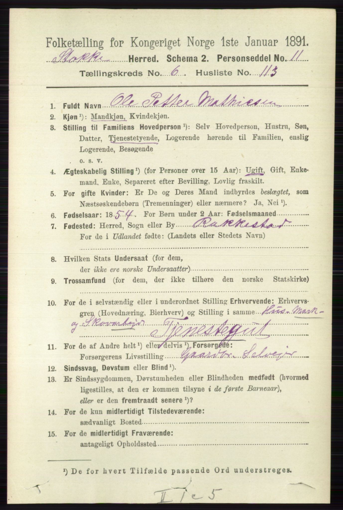 RA, 1891 census for 0720 Stokke, 1891, p. 4497