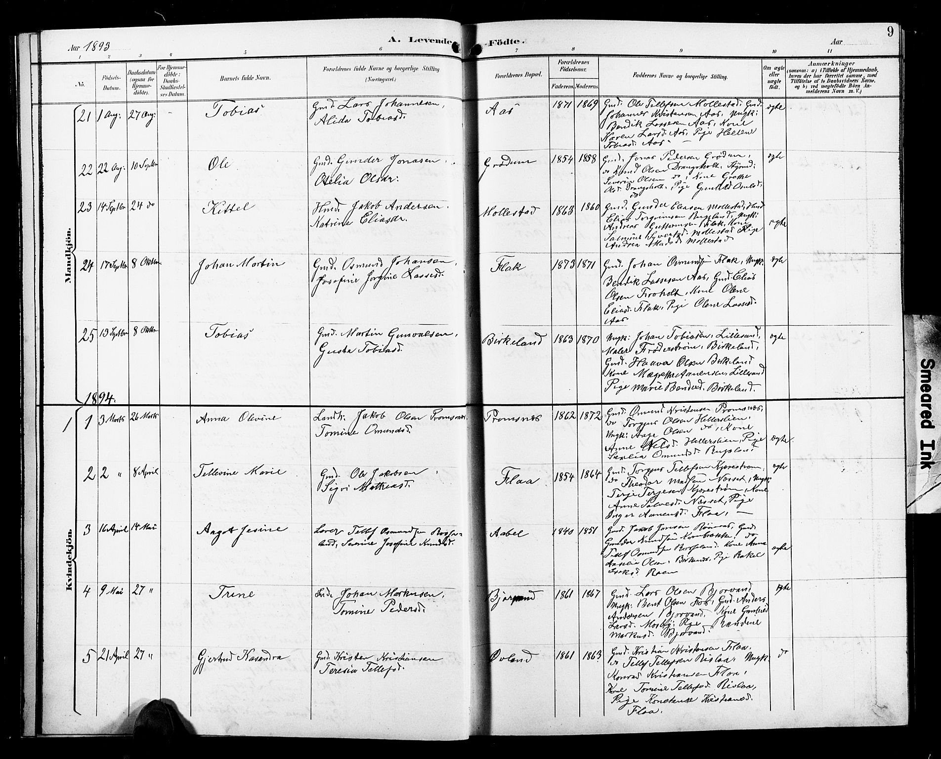 Birkenes sokneprestkontor, AV/SAK-1111-0004/F/Fb/L0004: Parish register (copy) no. B 4, 1893-1930, p. 9