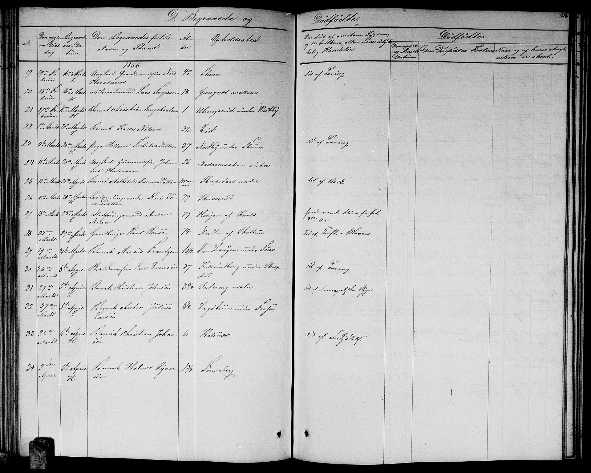 Høland prestekontor Kirkebøker, SAO/A-10346a/G/Ga/L0004: Parish register (copy) no. I 4, 1854-1862, p. 313