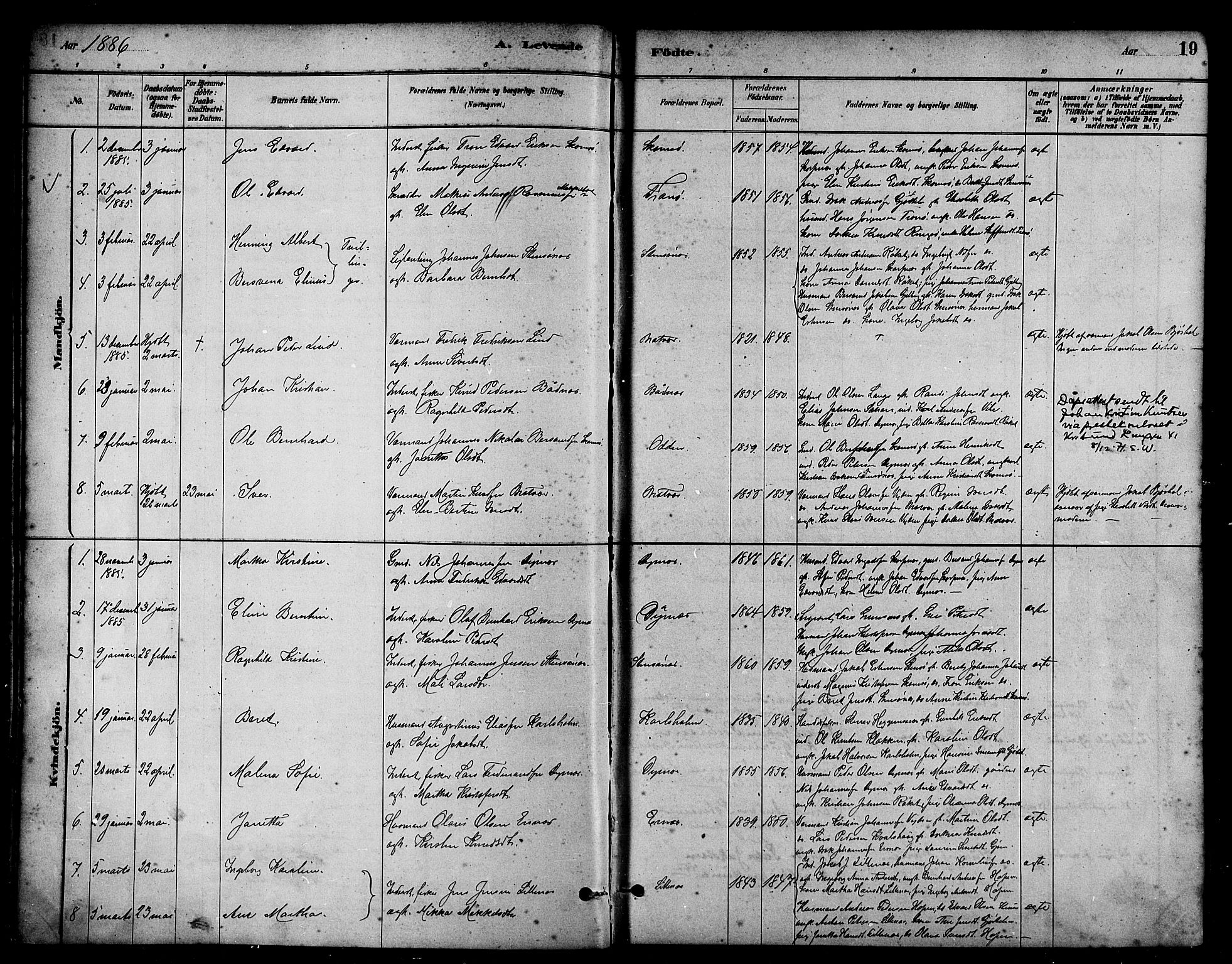 Ministerialprotokoller, klokkerbøker og fødselsregistre - Møre og Romsdal, AV/SAT-A-1454/582/L0947: Parish register (official) no. 582A01, 1880-1900, p. 19