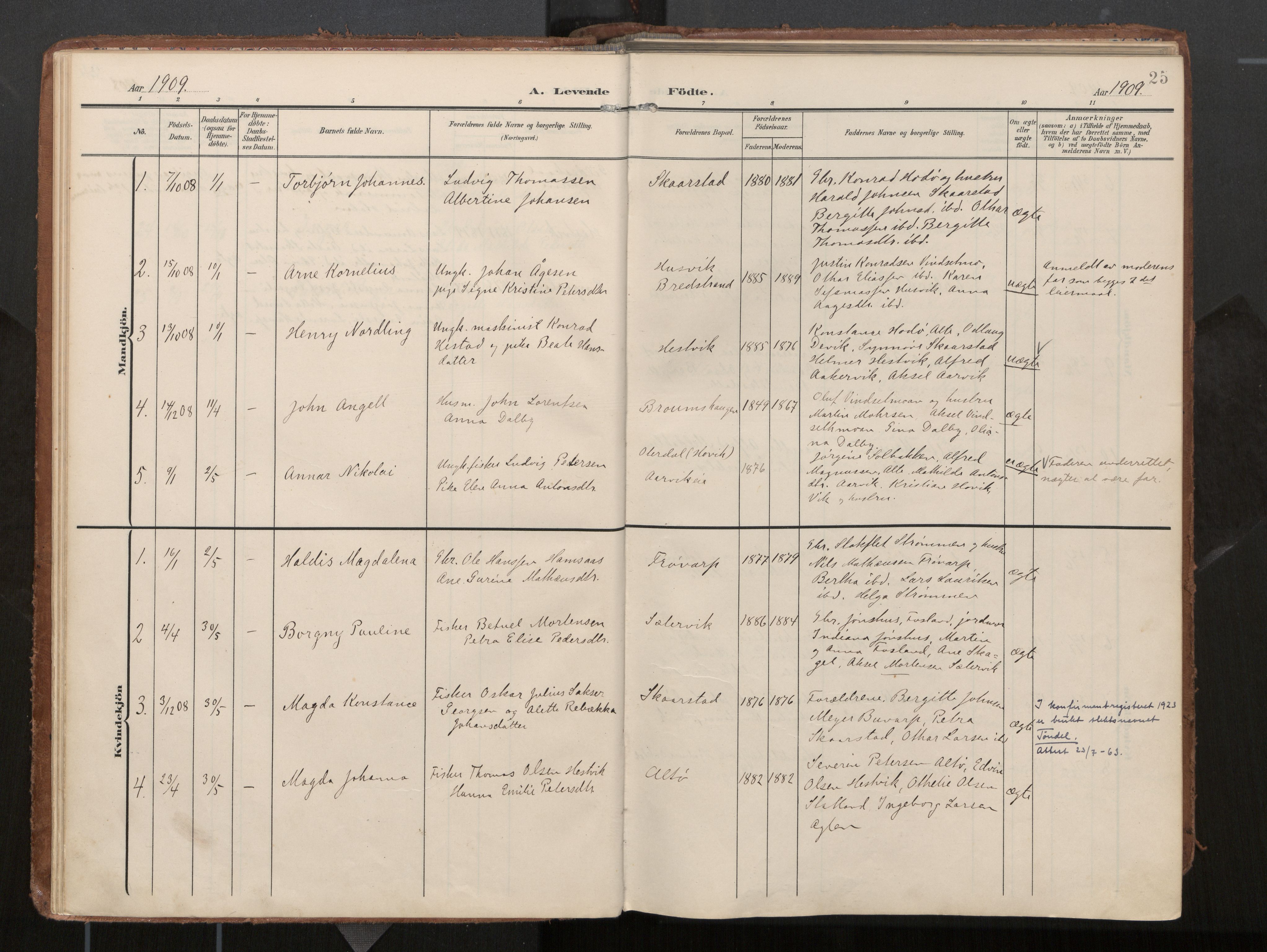 Ministerialprotokoller, klokkerbøker og fødselsregistre - Nord-Trøndelag, AV/SAT-A-1458/774/L0629: Parish register (official), 1904-1926, p. 25