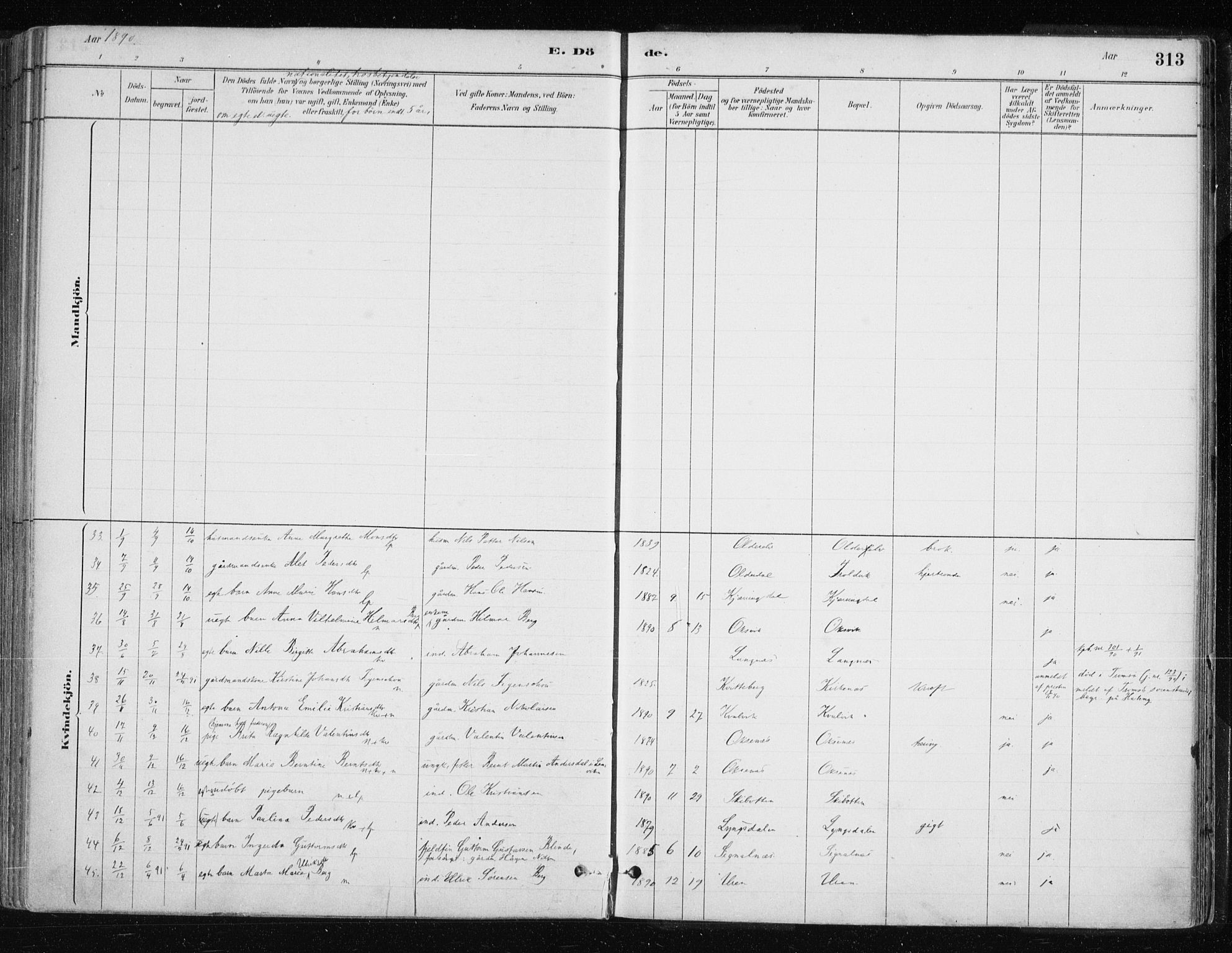 Lyngen sokneprestembete, SATØ/S-1289/H/He/Hea/L0007kirke: Parish register (official) no. 7, 1879-1890, p. 313