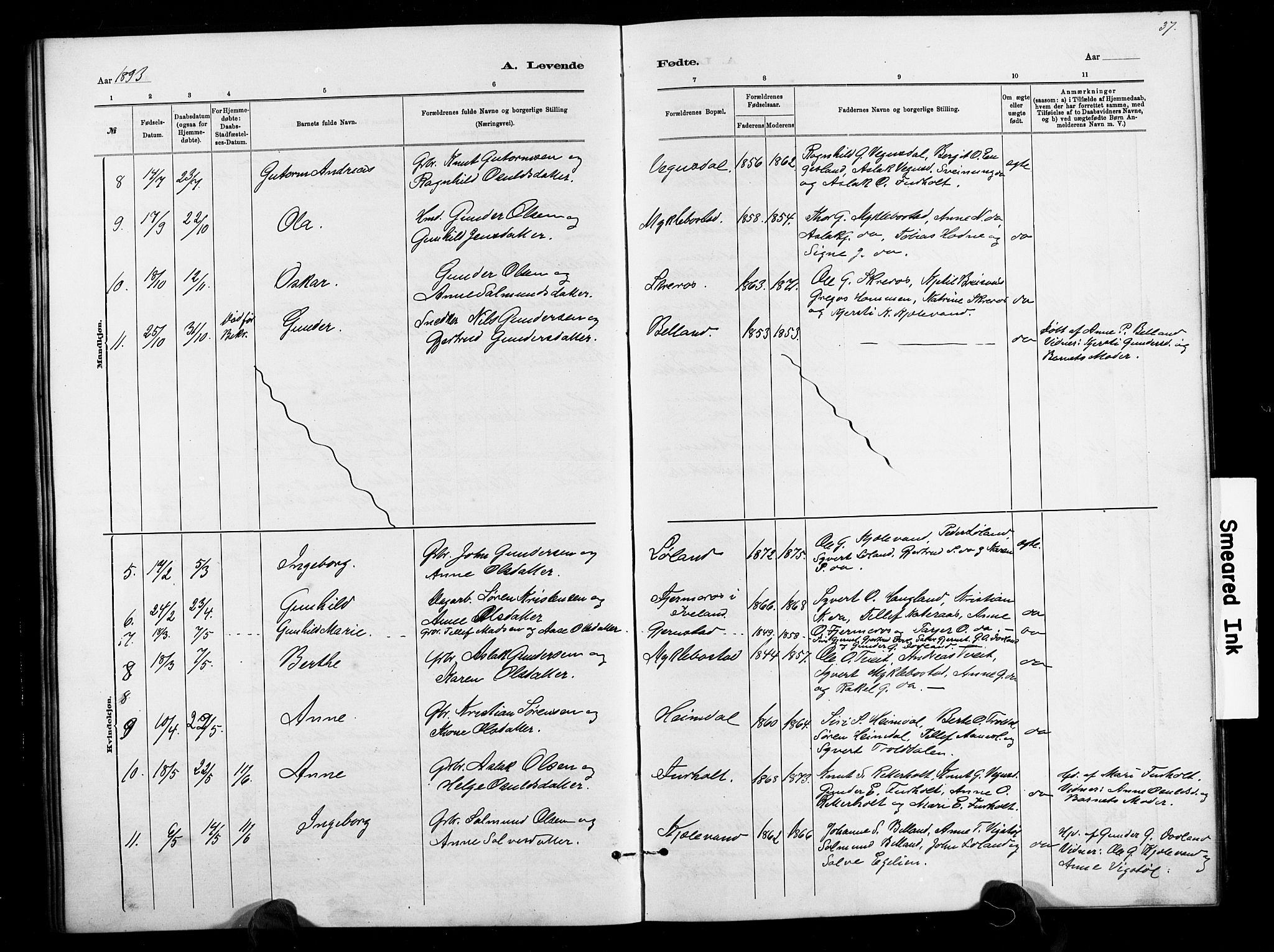 Herefoss sokneprestkontor, AV/SAK-1111-0019/F/Fb/Fbb/L0002: Parish register (copy) no. B 2, 1879-1894, p. 37