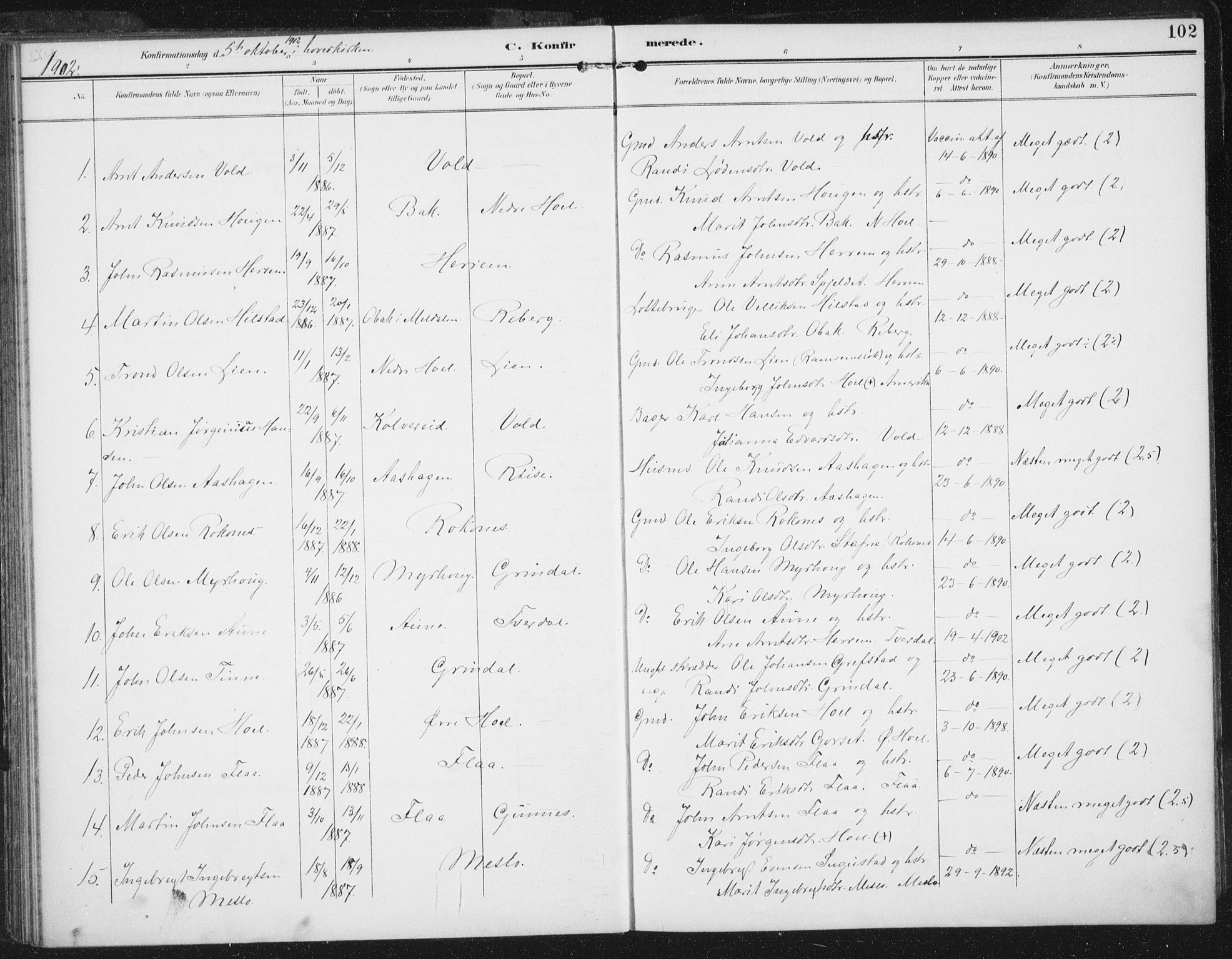 Ministerialprotokoller, klokkerbøker og fødselsregistre - Sør-Trøndelag, SAT/A-1456/674/L0872: Parish register (official) no. 674A04, 1897-1907, p. 102