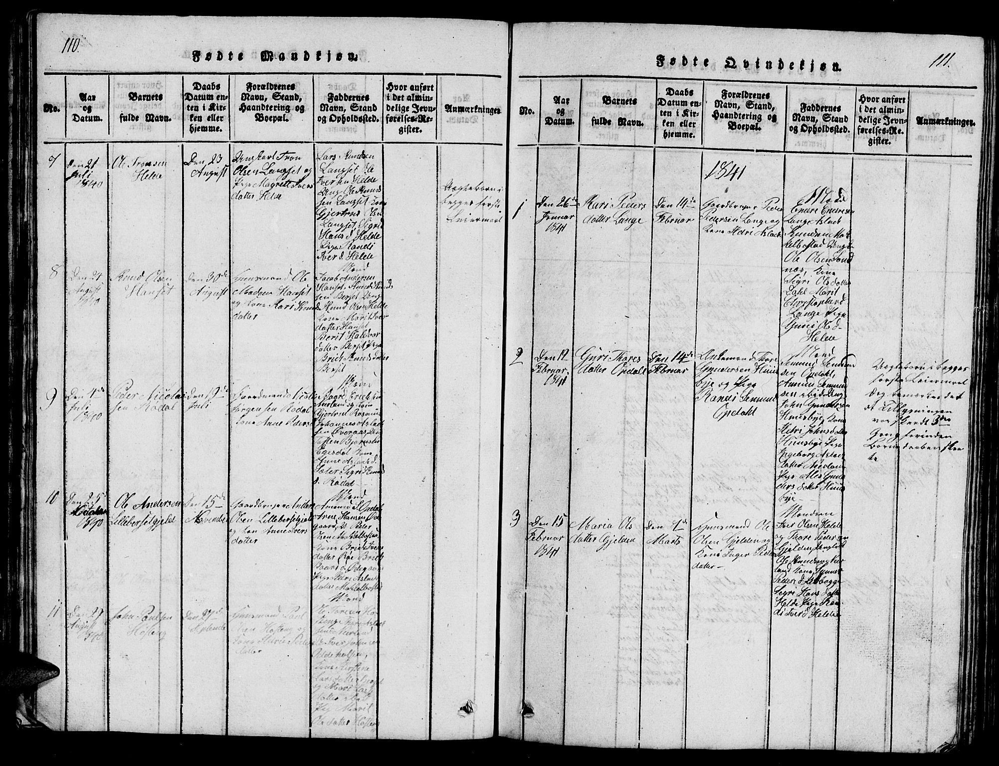 Ministerialprotokoller, klokkerbøker og fødselsregistre - Møre og Romsdal, SAT/A-1454/554/L0644: Parish register (copy) no. 554C01, 1818-1851, p. 110-111