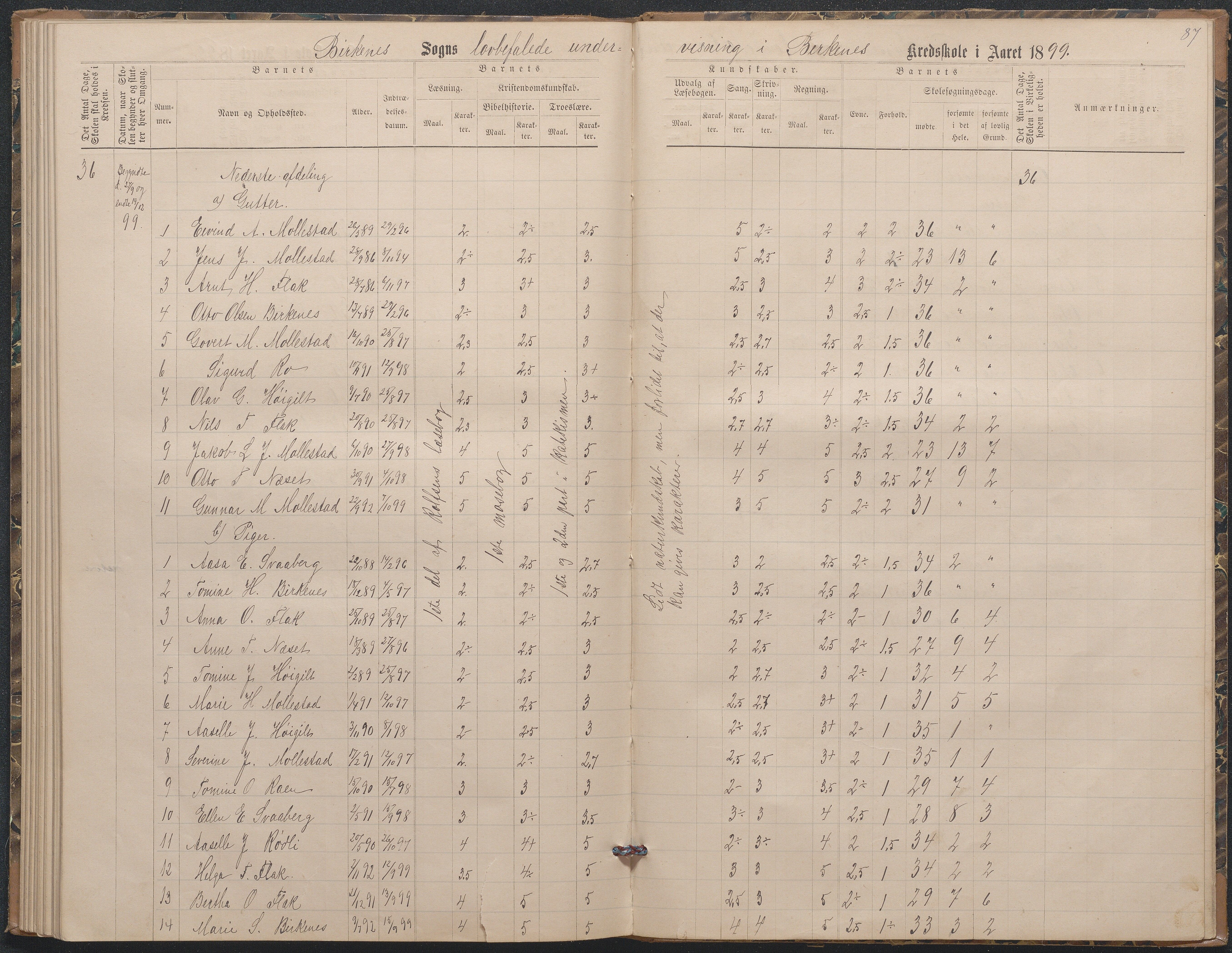 Birkenes kommune, Birkenes krets/Birkeland folkeskole frem til 1991, AAKS/KA0928-550a_91/F02/L0003: Skoleprotokoll, 1879-1891, p. 85