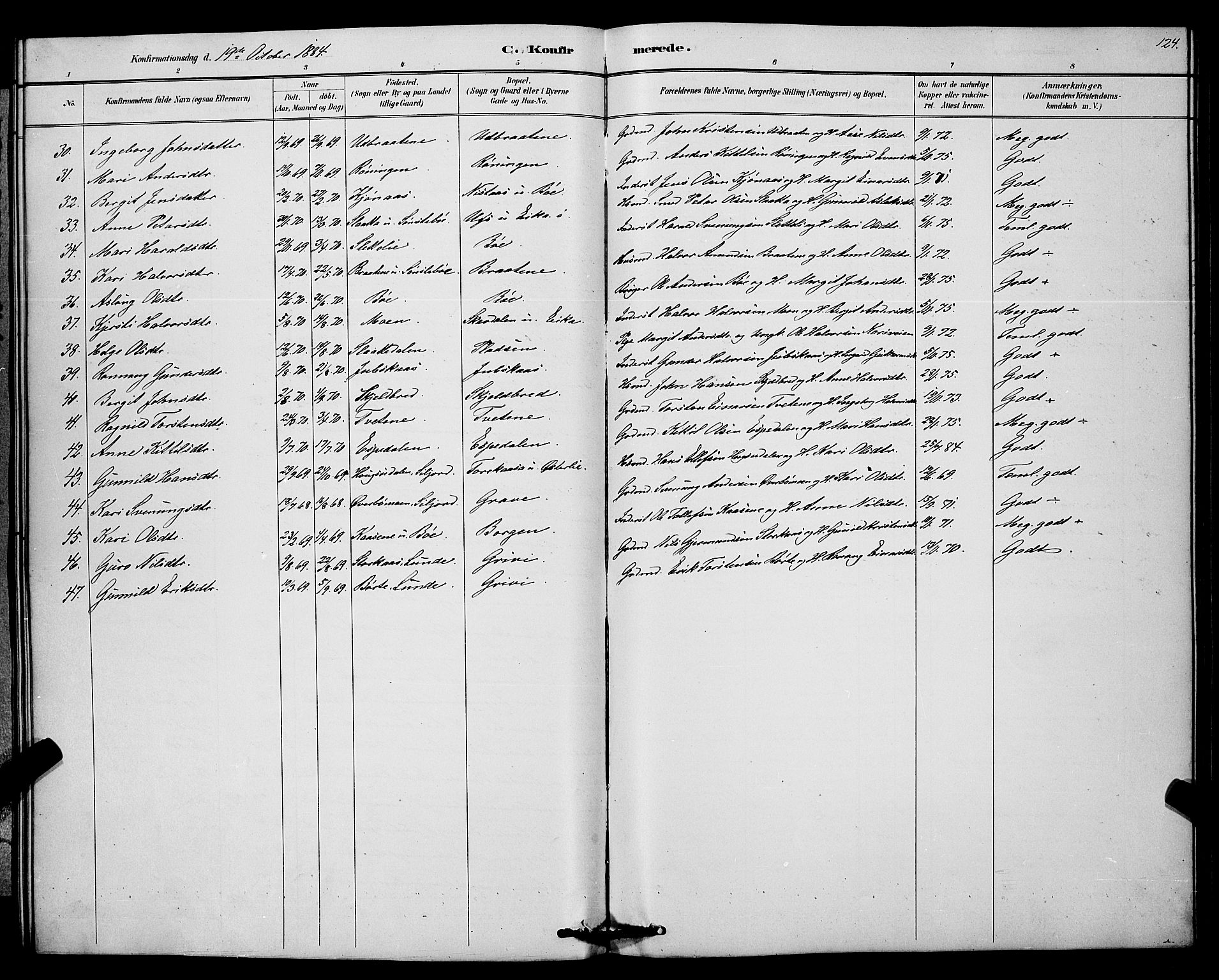 Bø kirkebøker, SAKO/A-257/G/Ga/L0005: Parish register (copy) no. 5, 1883-1897, p. 124