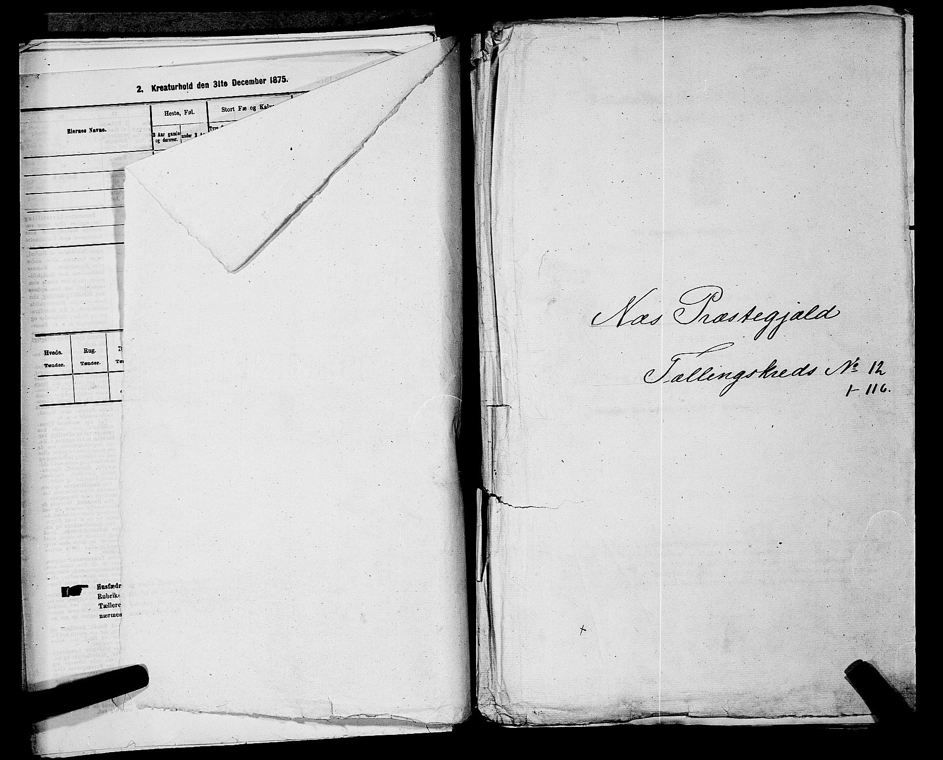 RA, 1875 census for 0236P Nes, 1875, p. 2036