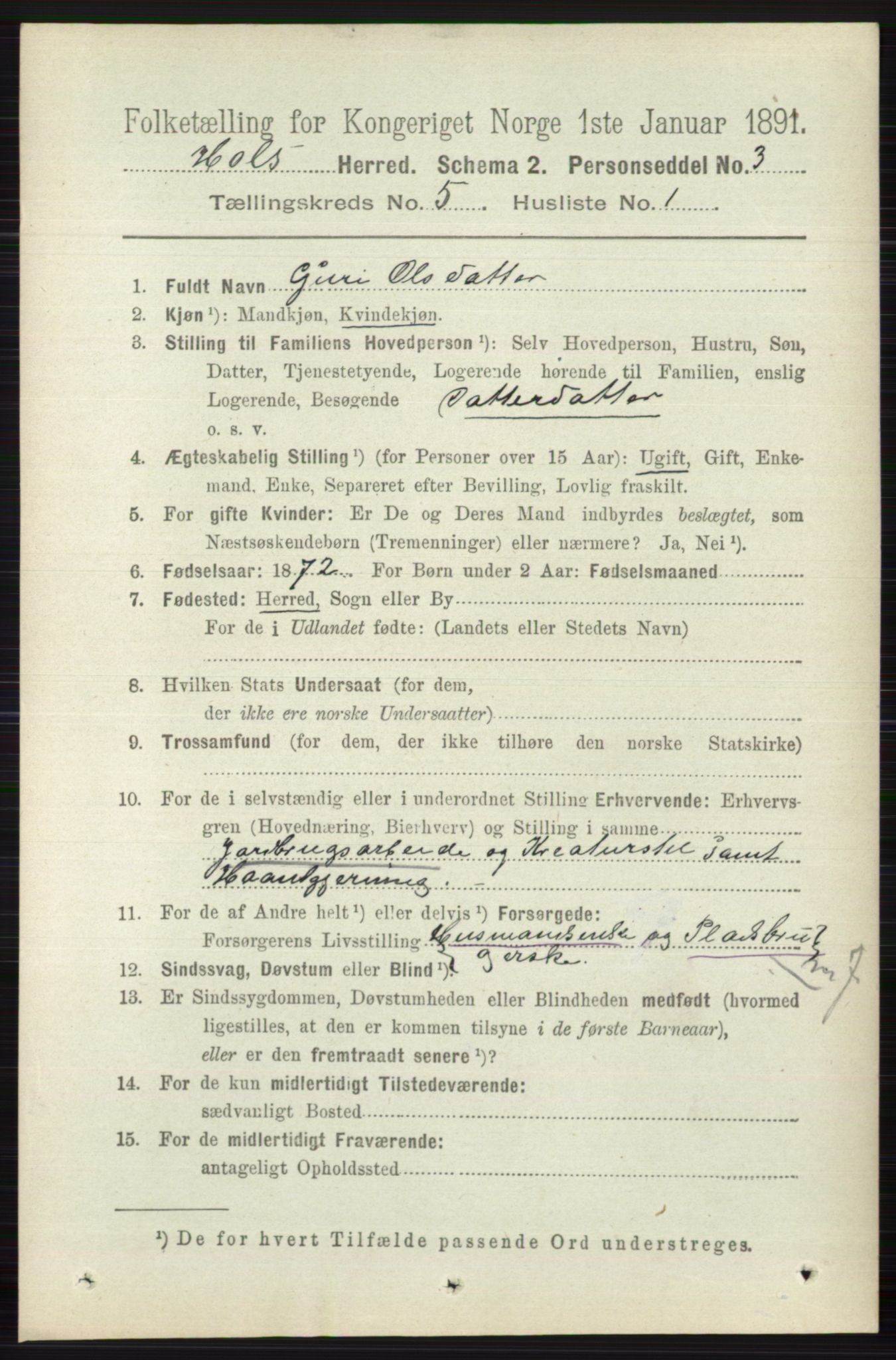 RA, 1891 census for 0620 Hol, 1891, p. 1467