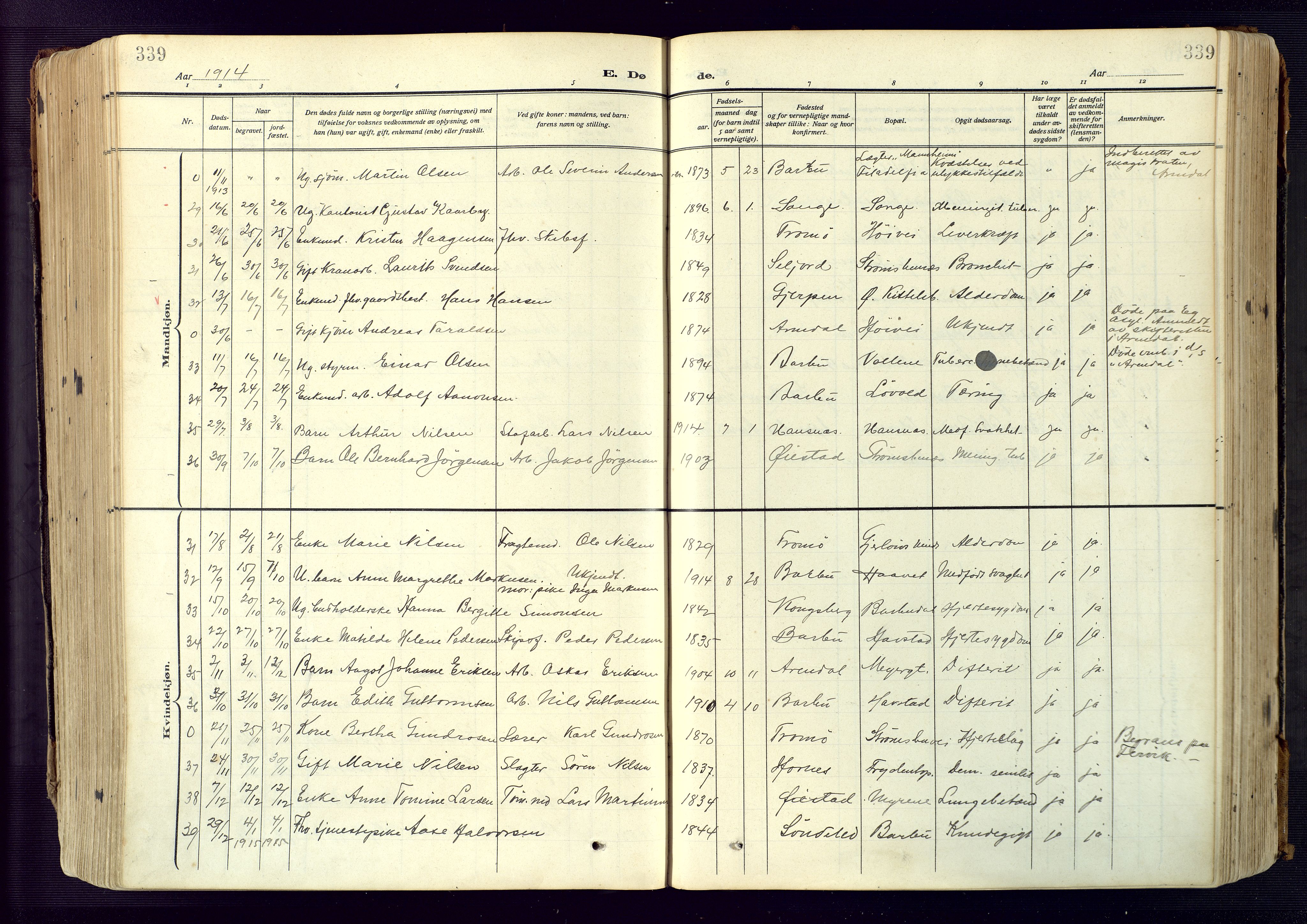 Barbu sokneprestkontor, AV/SAK-1111-0003/F/Fa/L0006: Parish register (official) no. A 6, 1910-1929, p. 339