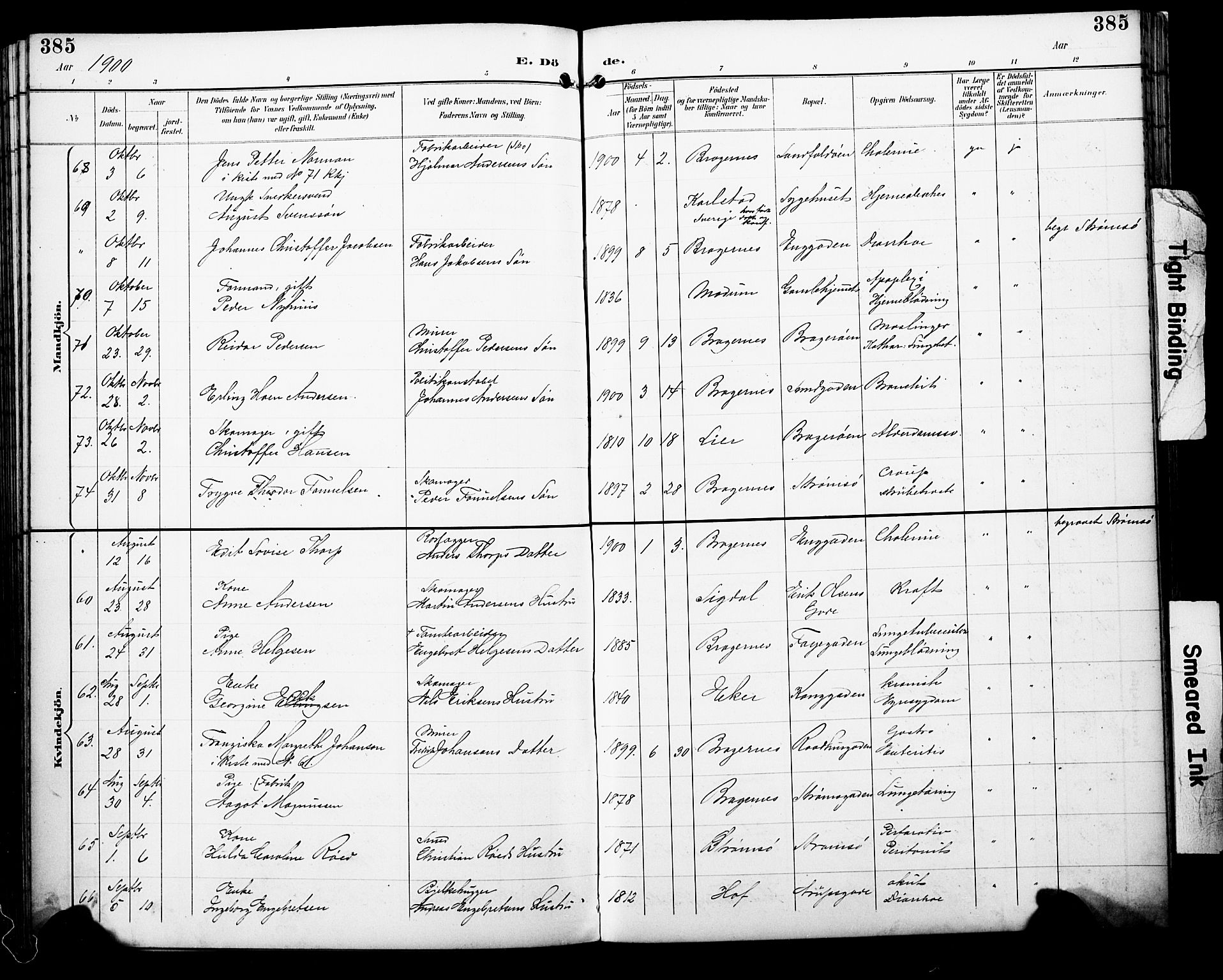 Bragernes kirkebøker, AV/SAKO-A-6/F/Fb/L0008: Parish register (official) no. II 8, 1894-1902, p. 385