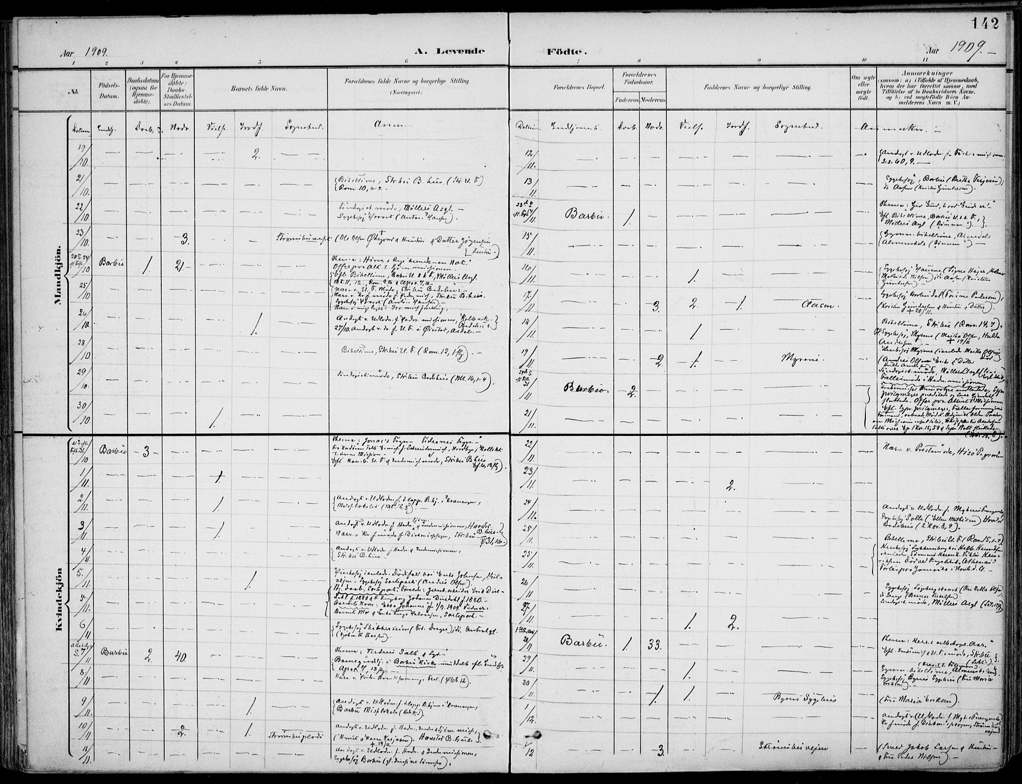 Barbu sokneprestkontor, AV/SAK-1111-0003/F/Fa/L0005: Parish register (official) no. A 5, 1899-1909, p. 142