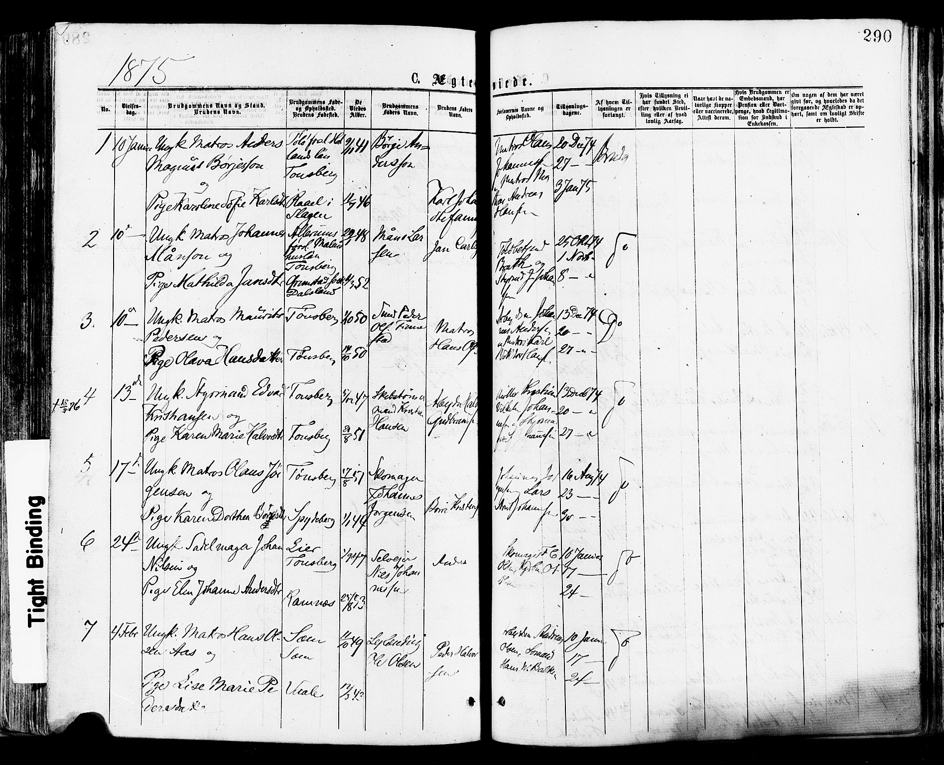 Tønsberg kirkebøker, SAKO/A-330/F/Fa/L0010: Parish register (official) no. I 10, 1874-1880, p. 290