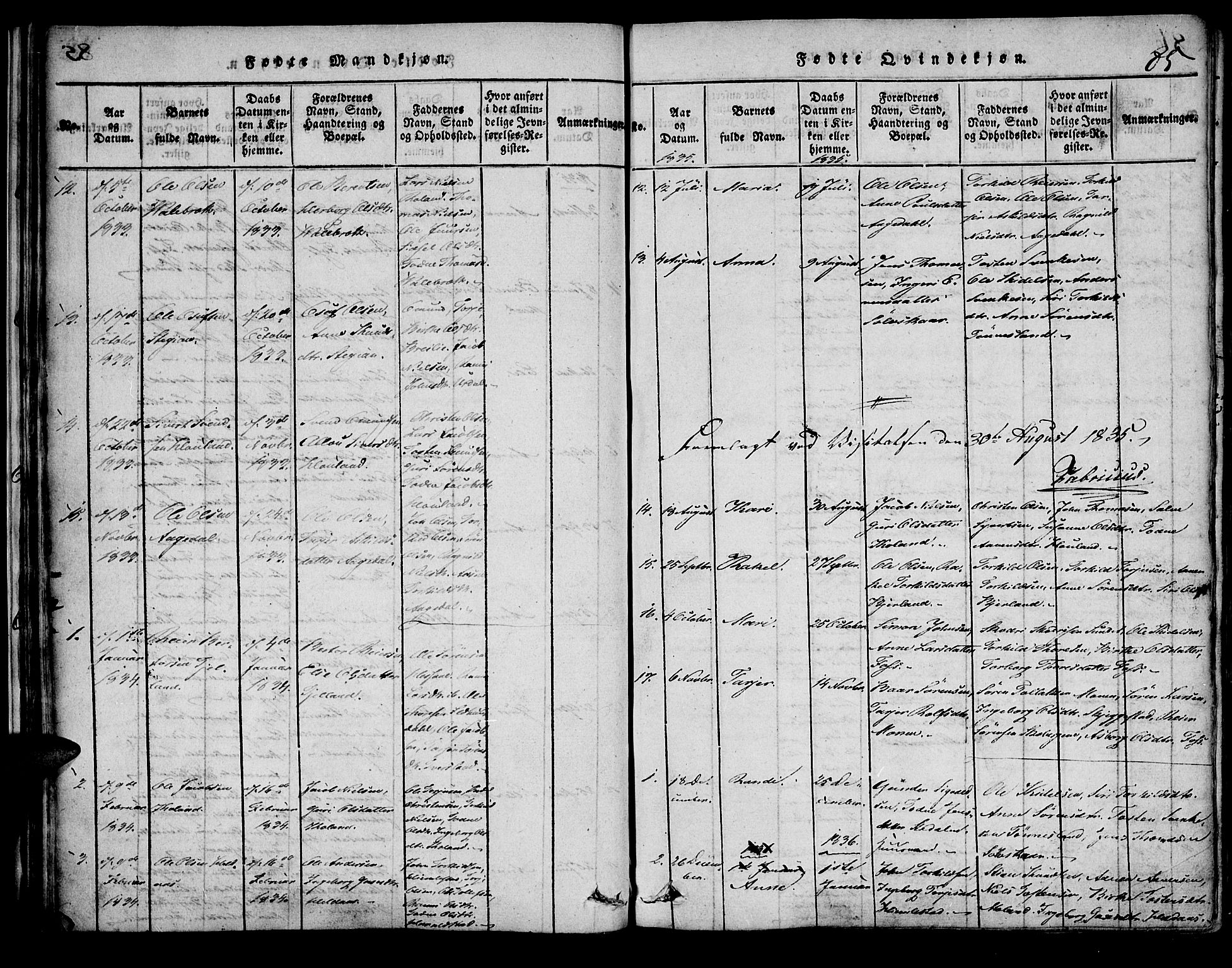 Bjelland sokneprestkontor, AV/SAK-1111-0005/F/Fa/Faa/L0002: Parish register (official) no. A 2, 1816-1866, p. 84-85