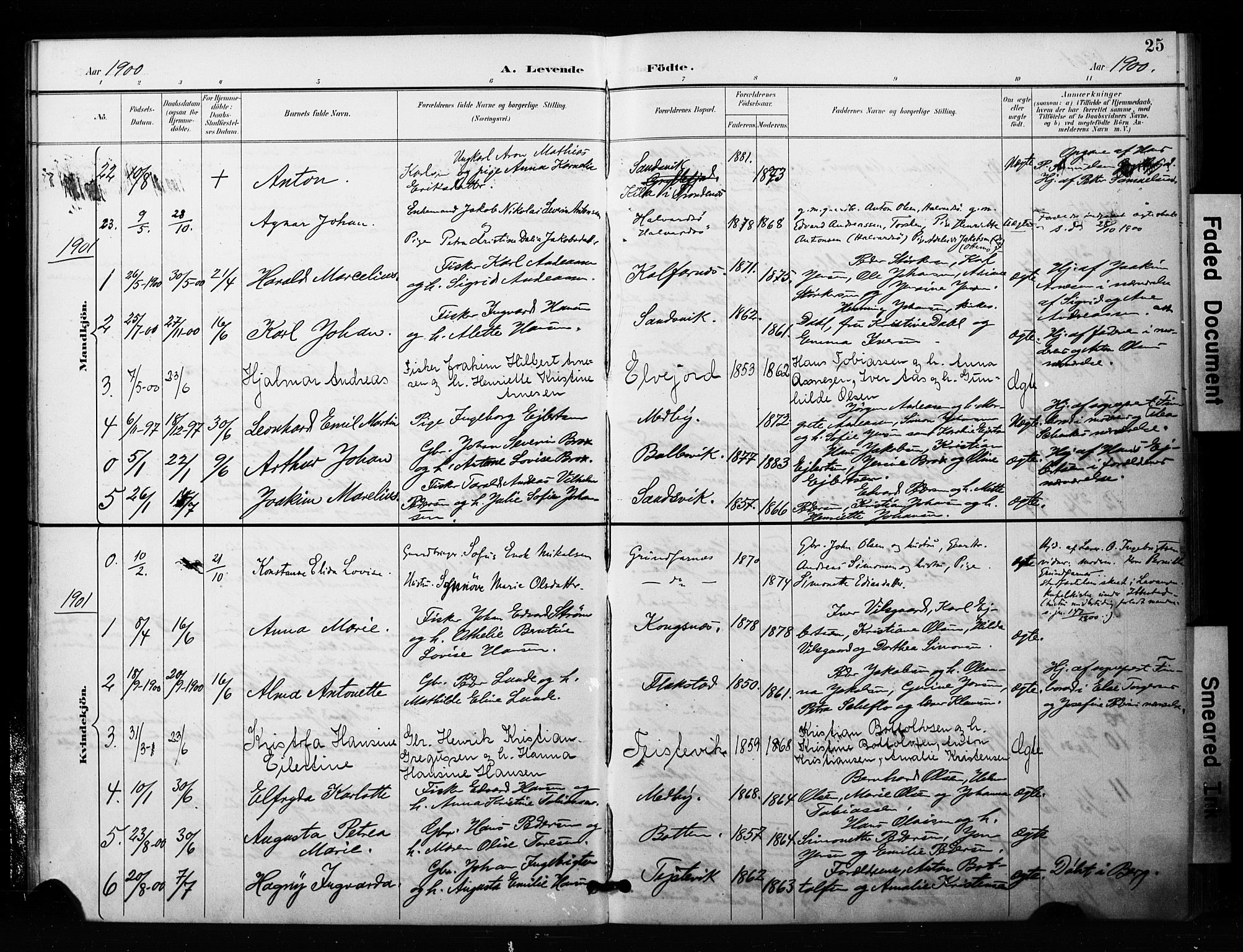 Berg sokneprestkontor, SATØ/S-1318/G/Ga/Gaa/L0006kirke: Parish register (official) no. 6, 1894-1904, p. 25
