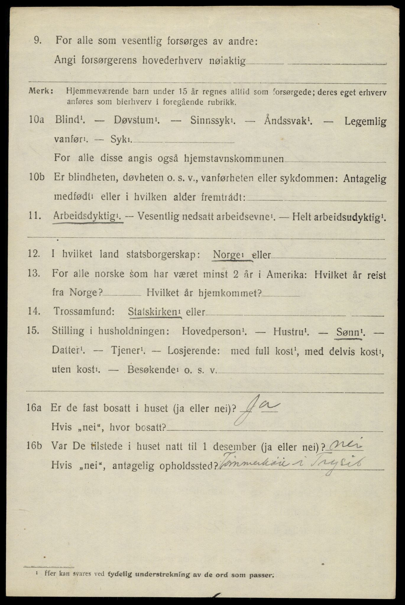 SAH, 1920 census for Trysil, 1920, p. 13779