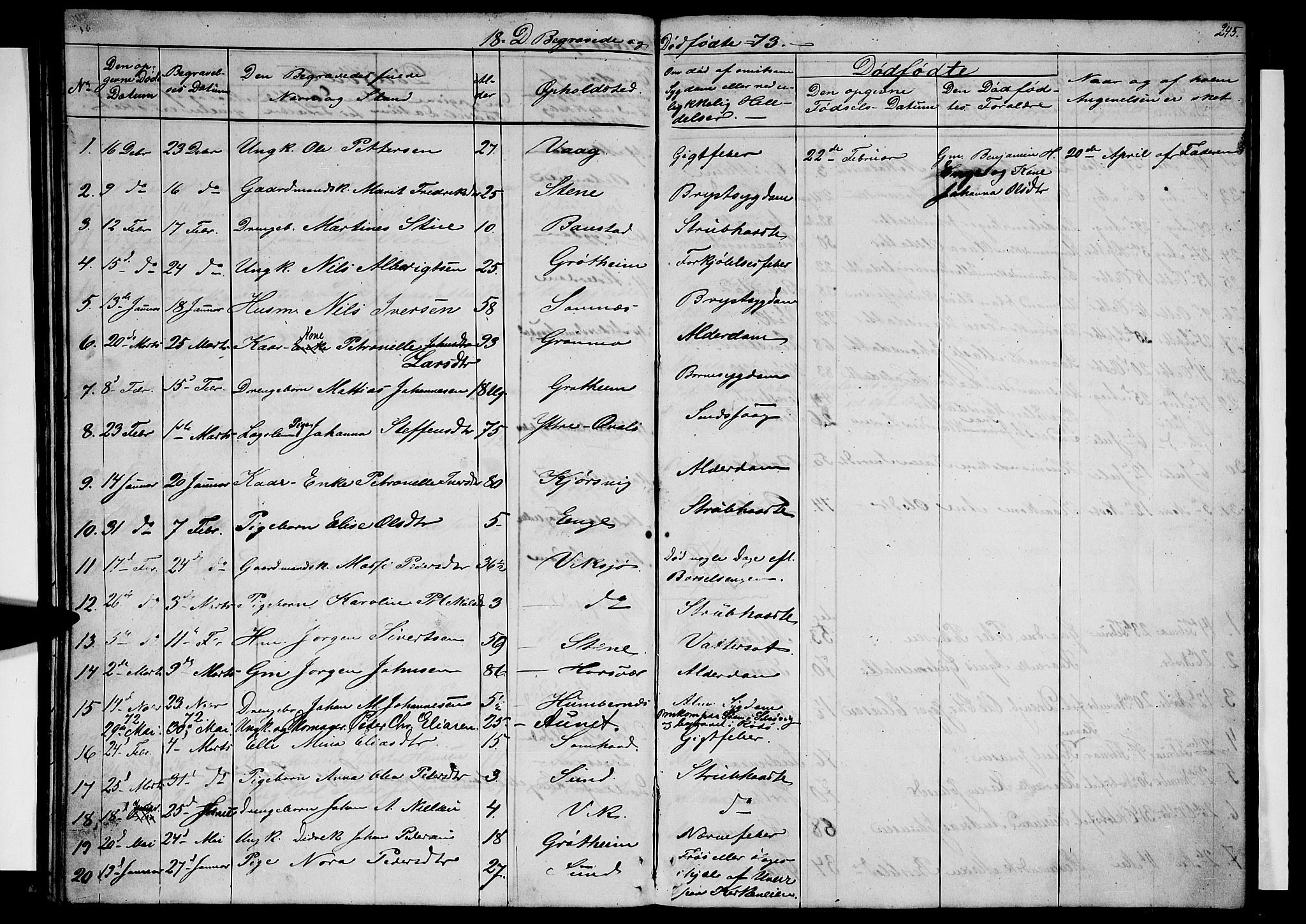 Ministerialprotokoller, klokkerbøker og fødselsregistre - Nordland, AV/SAT-A-1459/812/L0187: Parish register (copy) no. 812C05, 1850-1883, p. 245