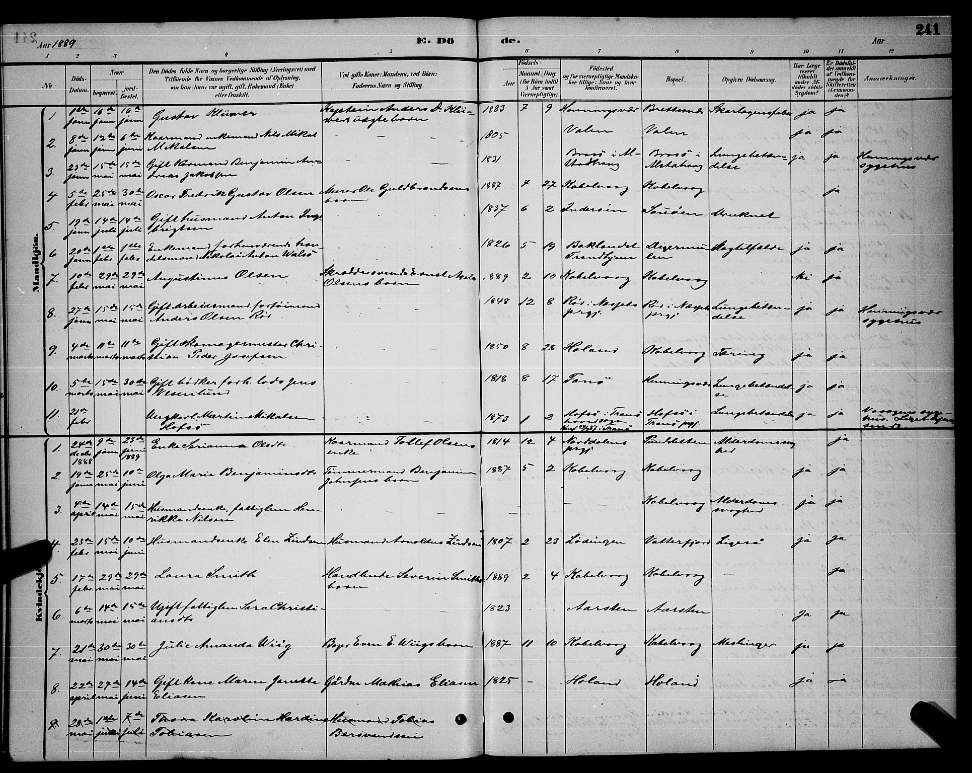 Ministerialprotokoller, klokkerbøker og fødselsregistre - Nordland, AV/SAT-A-1459/874/L1076: Parish register (copy) no. 874C05, 1884-1890, p. 241