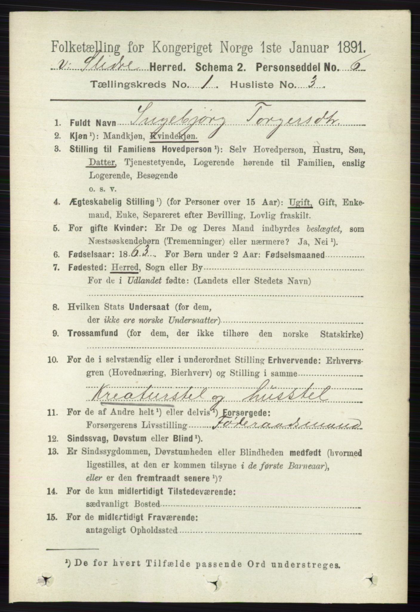 RA, 1891 census for 0543 Vestre Slidre, 1891, p. 114