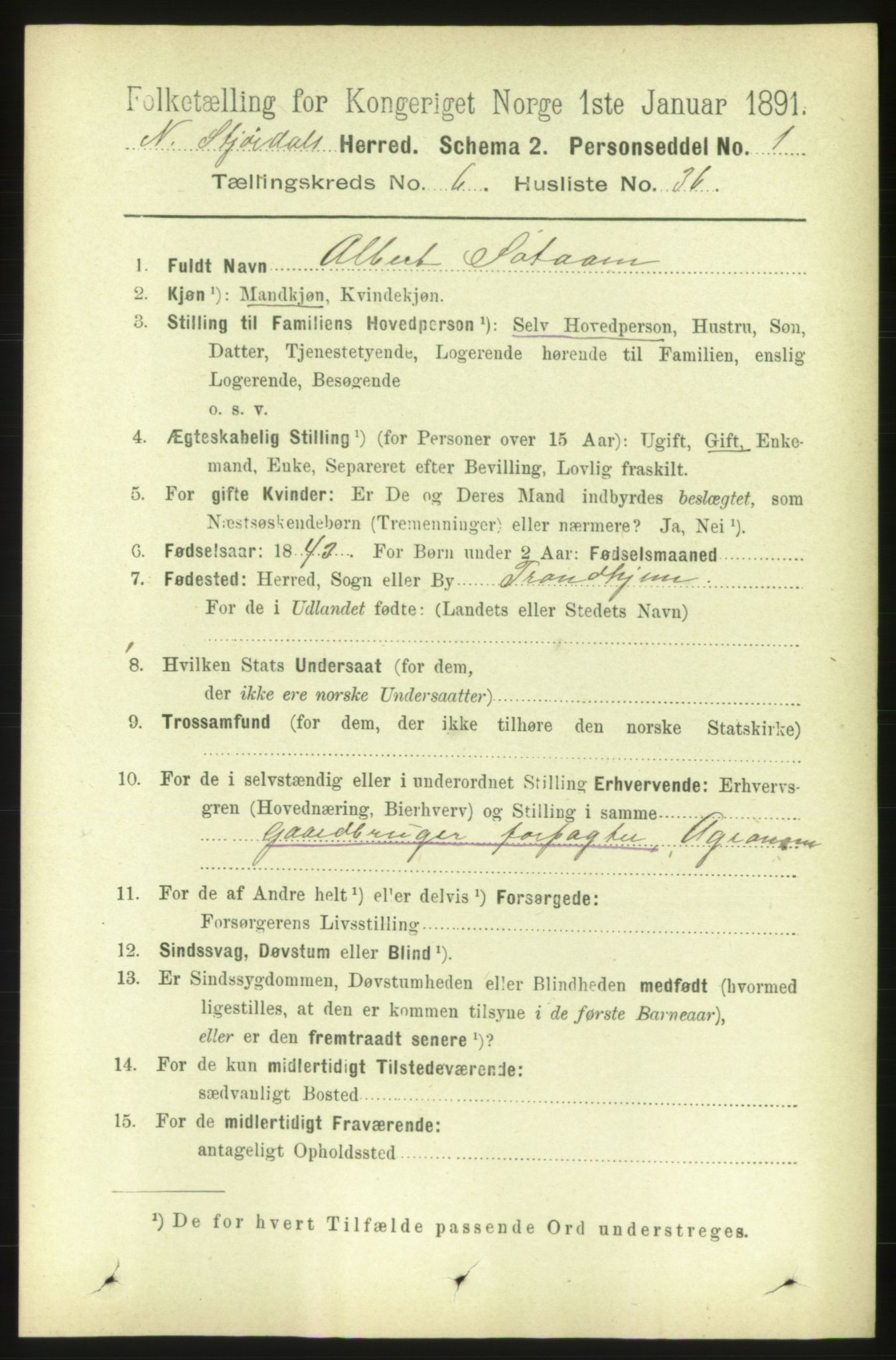 RA, 1891 census for 1714 Nedre Stjørdal, 1891, p. 2762