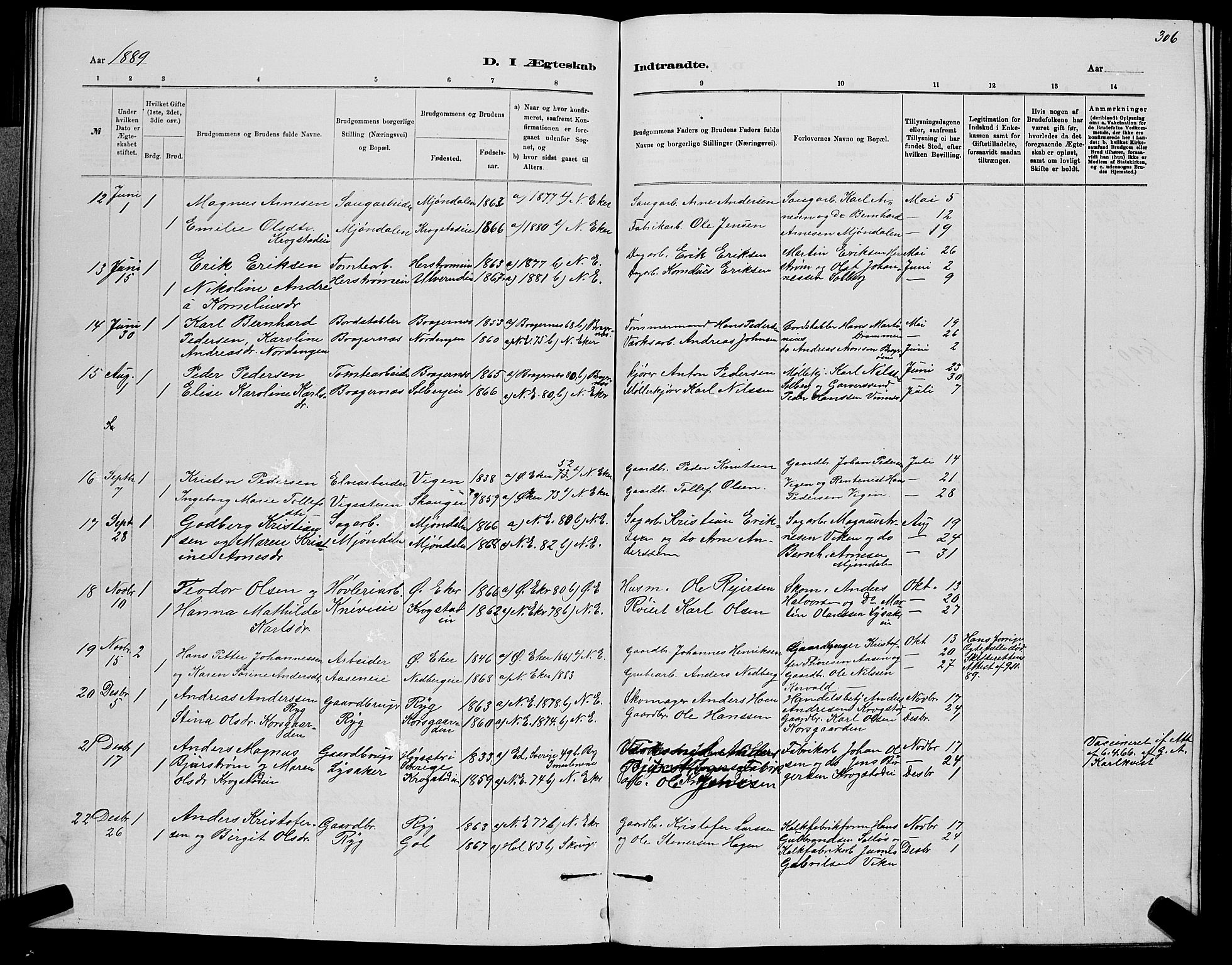 Nedre Eiker kirkebøker, AV/SAKO-A-612/G/Ga/L0002: Parish register (copy) no. 2, 1880-1896, p. 306