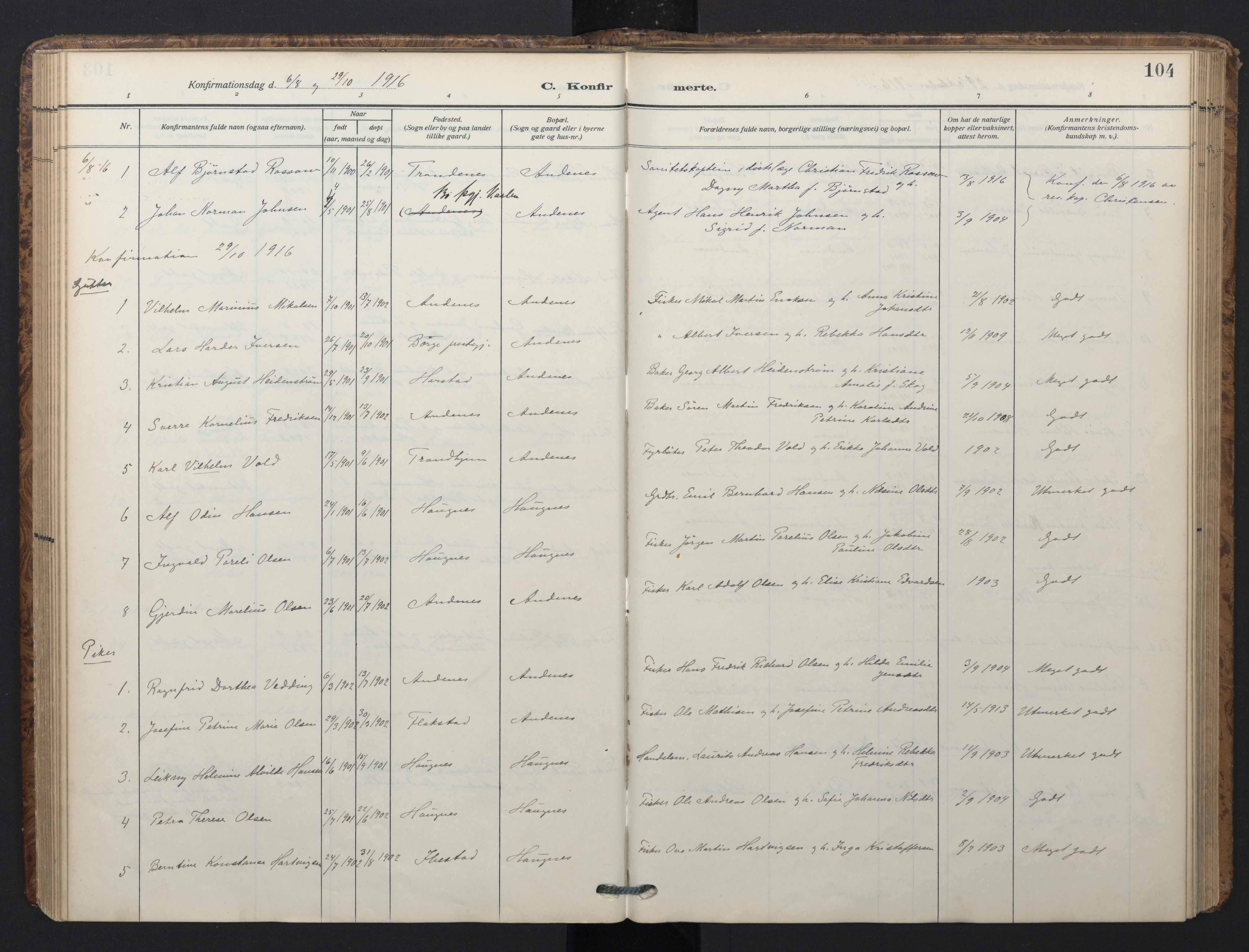 Ministerialprotokoller, klokkerbøker og fødselsregistre - Nordland, SAT/A-1459/899/L1438: Parish register (official) no. 899A06, 1909-1922, p. 104