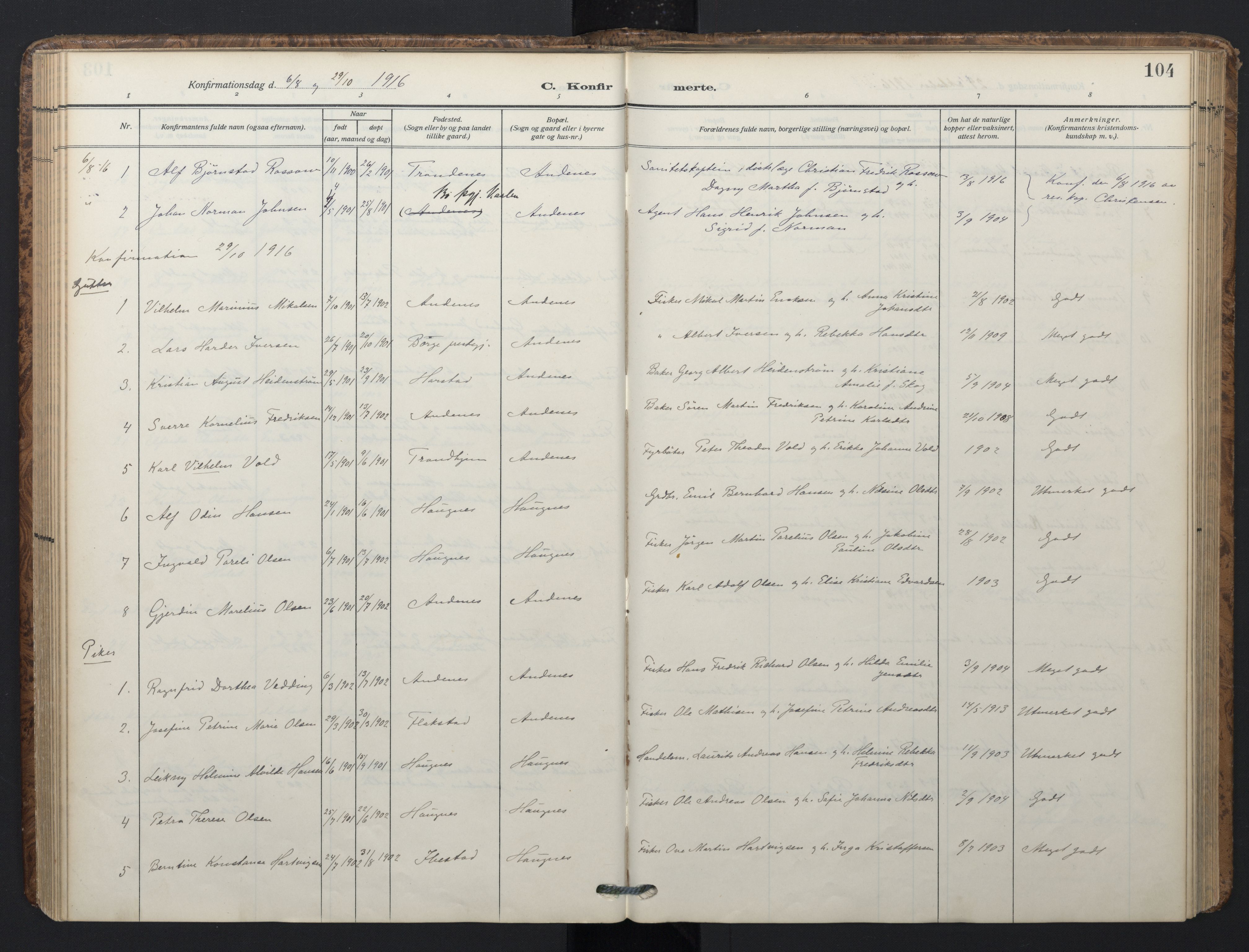Ministerialprotokoller, klokkerbøker og fødselsregistre - Nordland, AV/SAT-A-1459/899/L1438: Parish register (official) no. 899A06, 1909-1922, p. 104