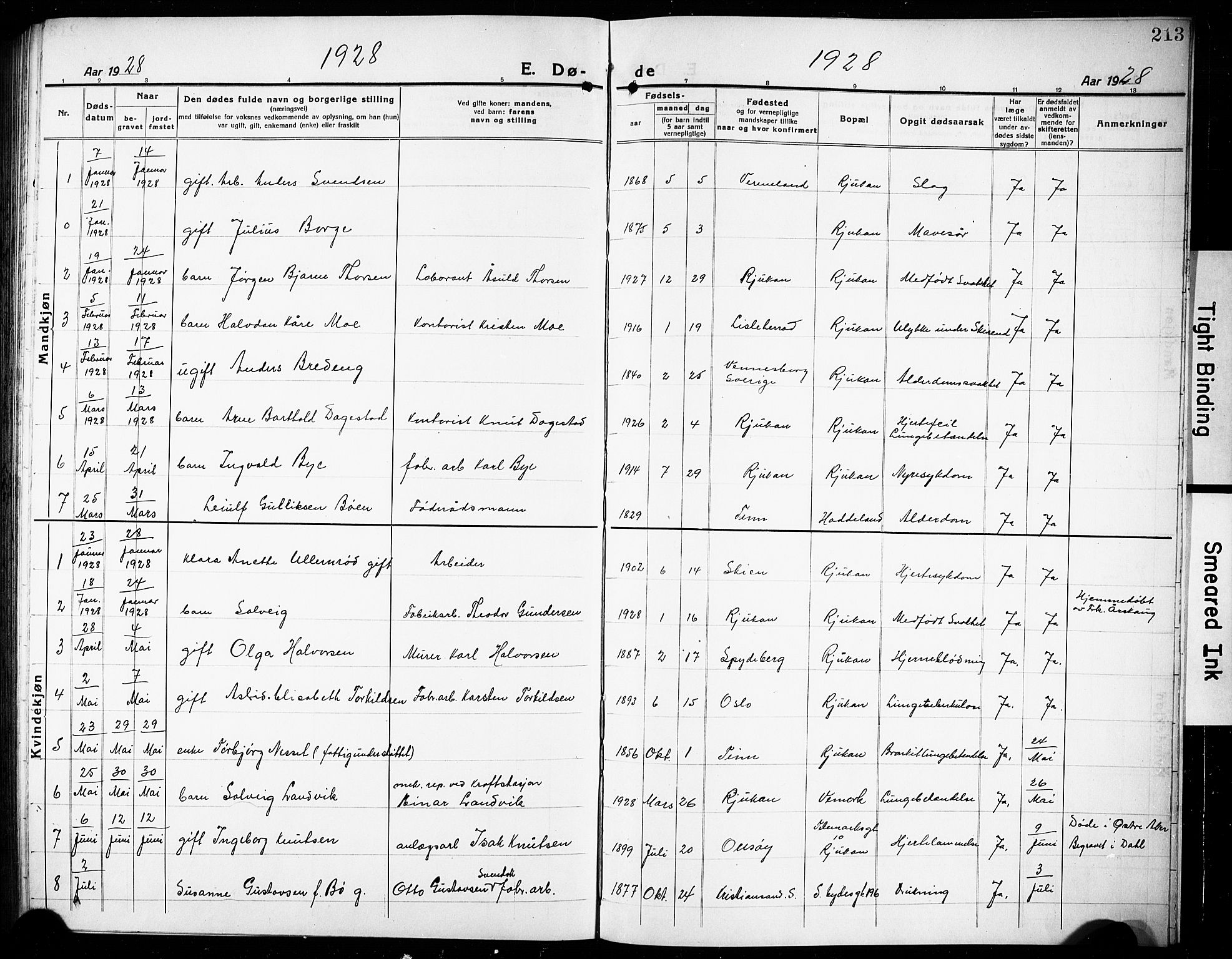 Rjukan kirkebøker, AV/SAKO-A-294/G/Ga/L0003: Parish register (copy) no. 3, 1920-1928, p. 213