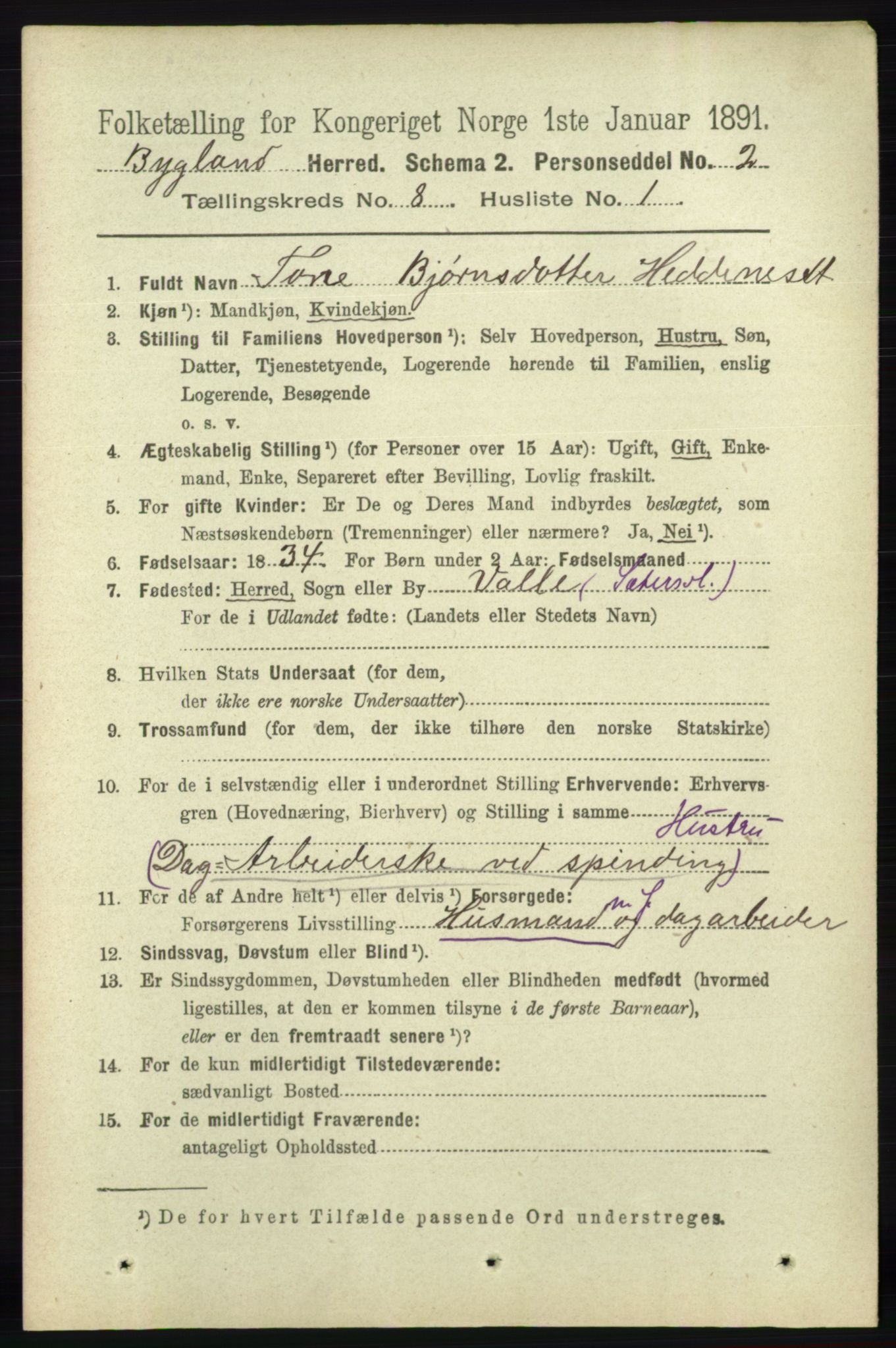 RA, 1891 census for 0938 Bygland, 1891, p. 1916