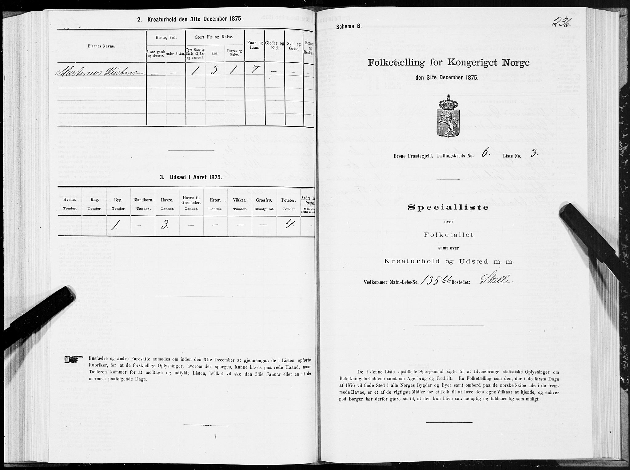 SAT, 1875 census for 1814P Brønnøy, 1875, p. 3236
