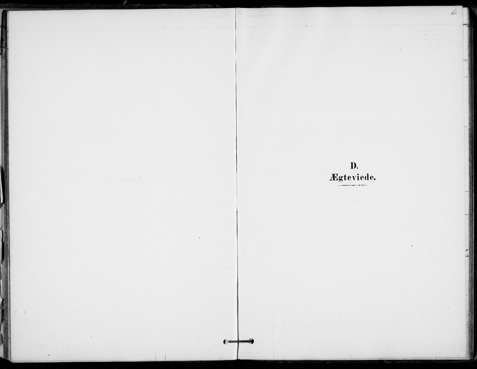 Hof kirkebøker, SAKO/A-64/F/Fb/L0001: Parish register (official) no. II 1, 1878-1907, p. 61