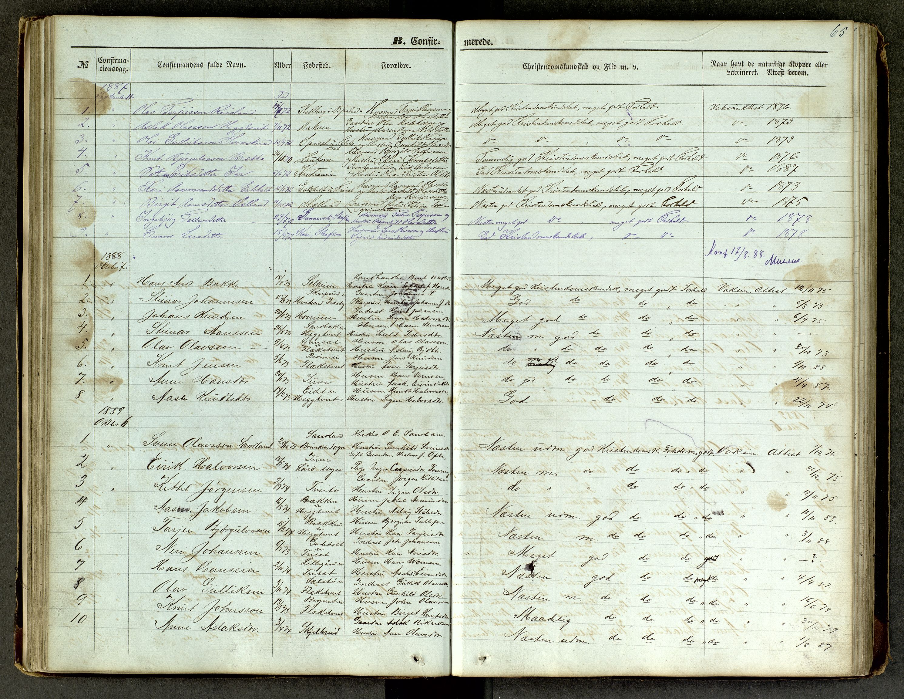 Lårdal kirkebøker, SAKO/A-284/G/Ga/L0002: Parish register (copy) no. I 2, 1861-1890, p. 65