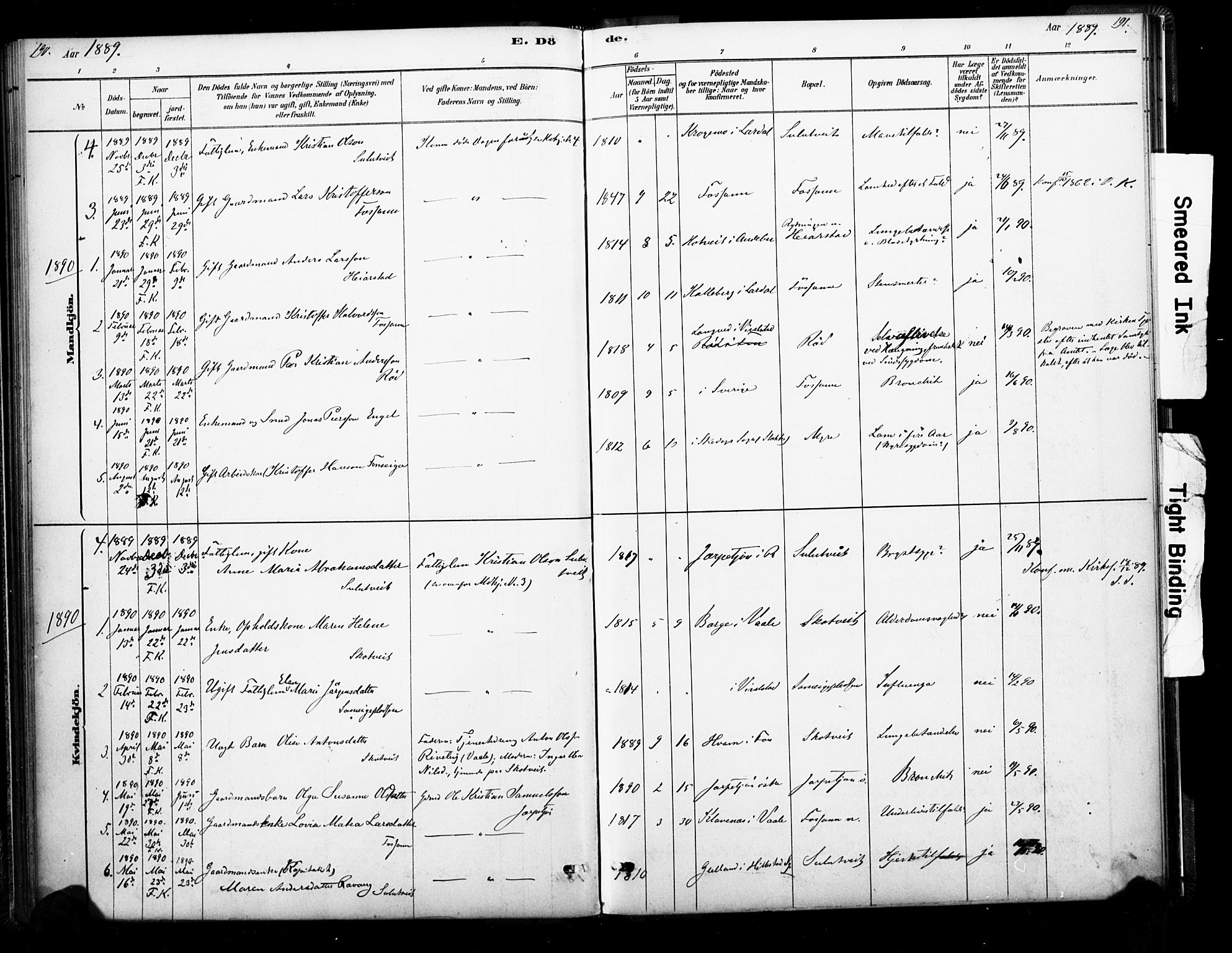 Ramnes kirkebøker, SAKO/A-314/F/Fb/L0001: Parish register (official) no. II 1, 1878-1894, p. 190-191