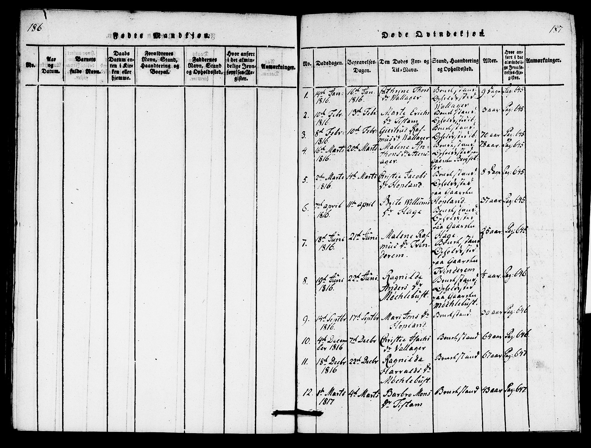 Innvik sokneprestembete, AV/SAB-A-80501: Parish register (copy) no. C 1, 1816-1820, p. 186-187