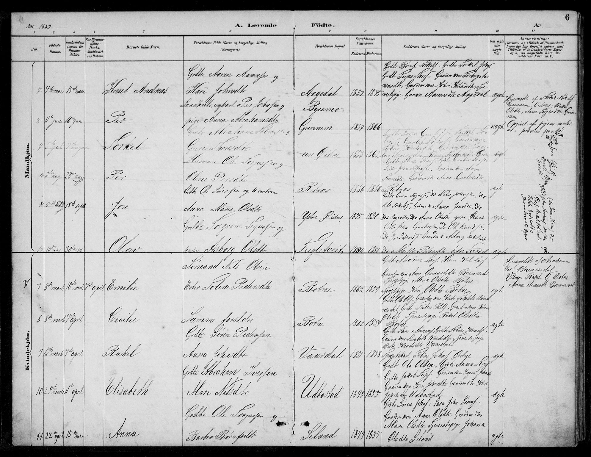 Bjelland sokneprestkontor, AV/SAK-1111-0005/F/Fb/Fbc/L0003: Parish register (copy) no. B 3, 1887-1924, p. 6