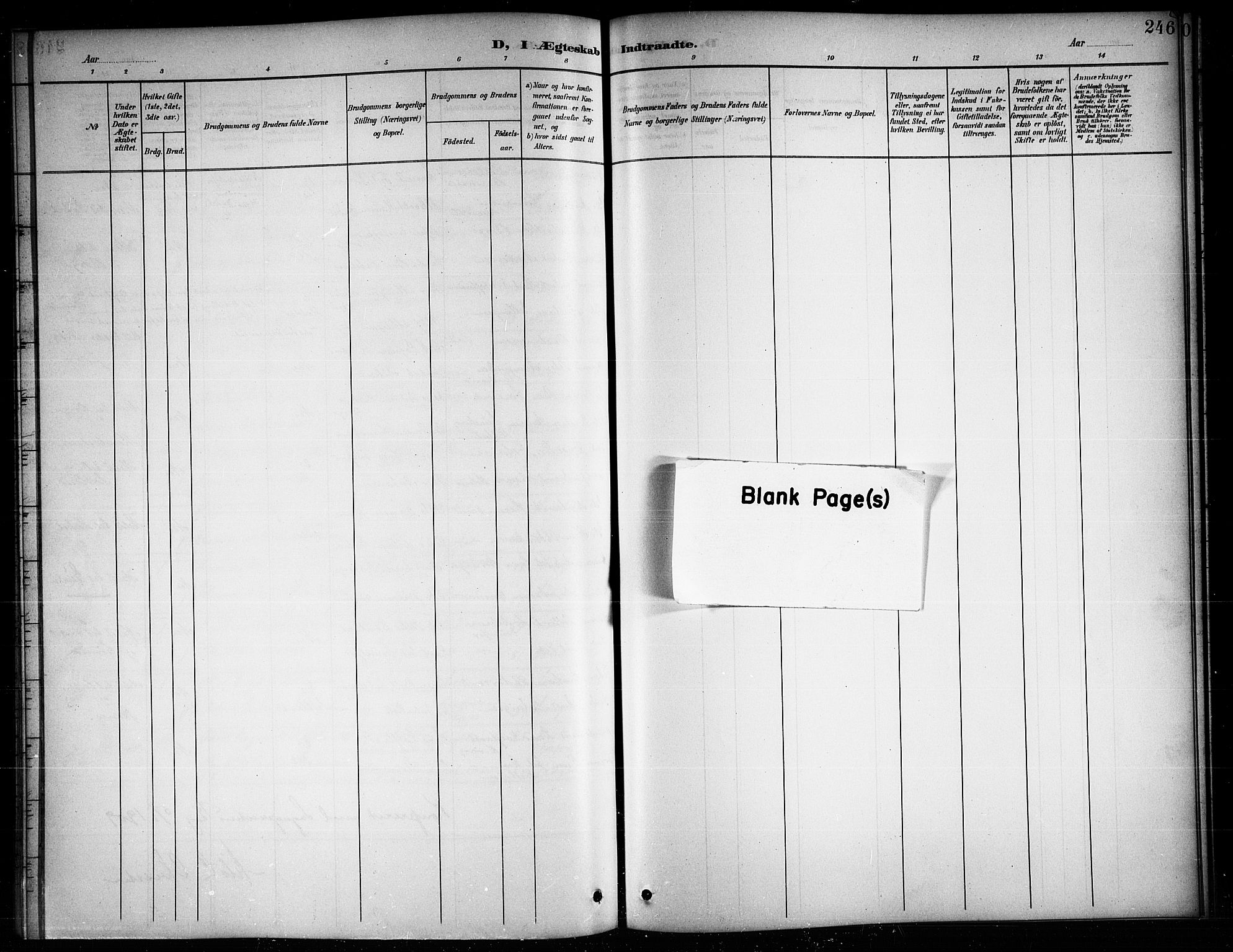 Ministerialprotokoller, klokkerbøker og fødselsregistre - Nordland, AV/SAT-A-1459/874/L1078: Parish register (copy) no. 874C07, 1900-1907, p. 246