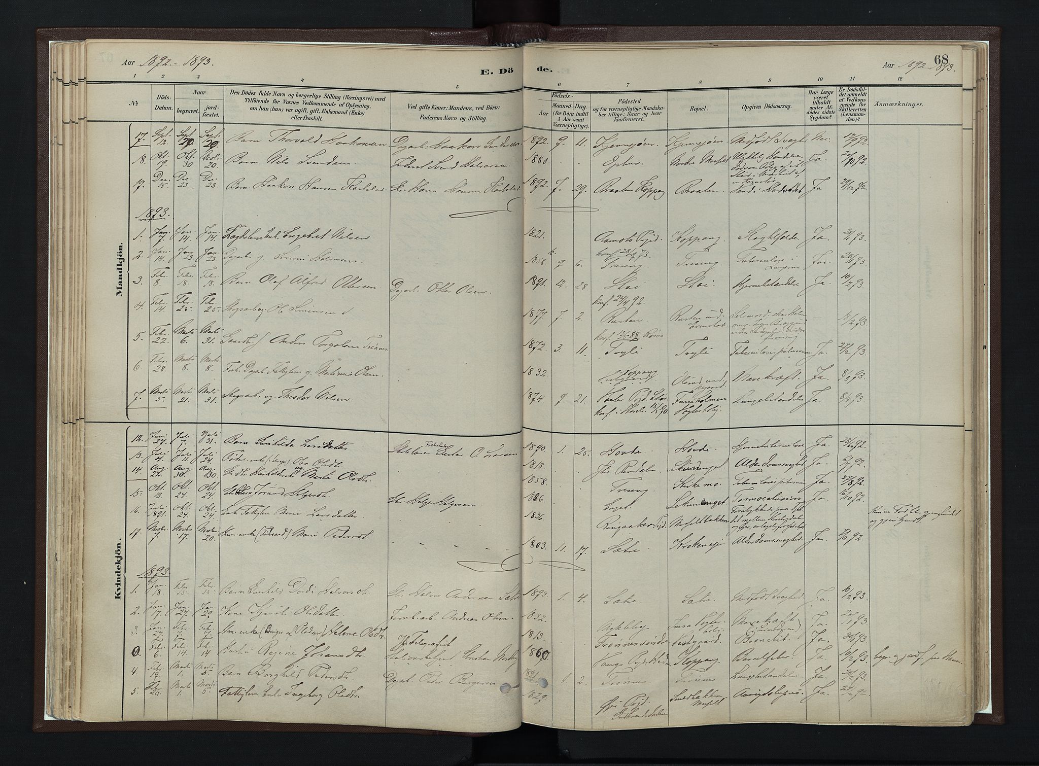 Stor-Elvdal prestekontor, SAH/PREST-052/H/Ha/Haa/L0003: Parish register (official) no. 3, 1882-1901, p. 68