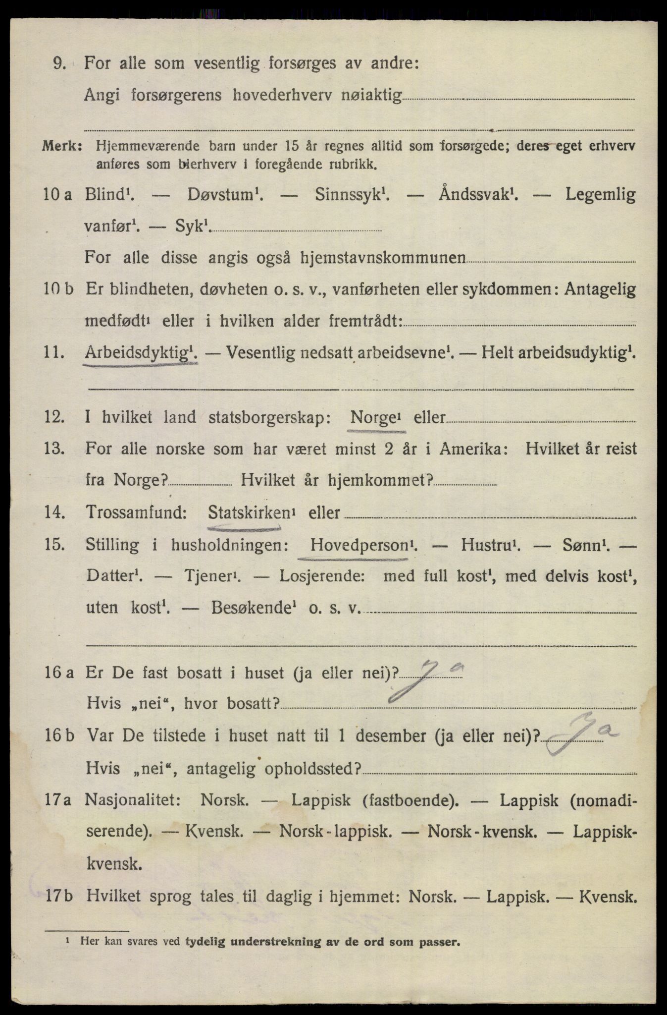 SAKO, 1920 census for Nes (Buskerud), 1920, p. 1919