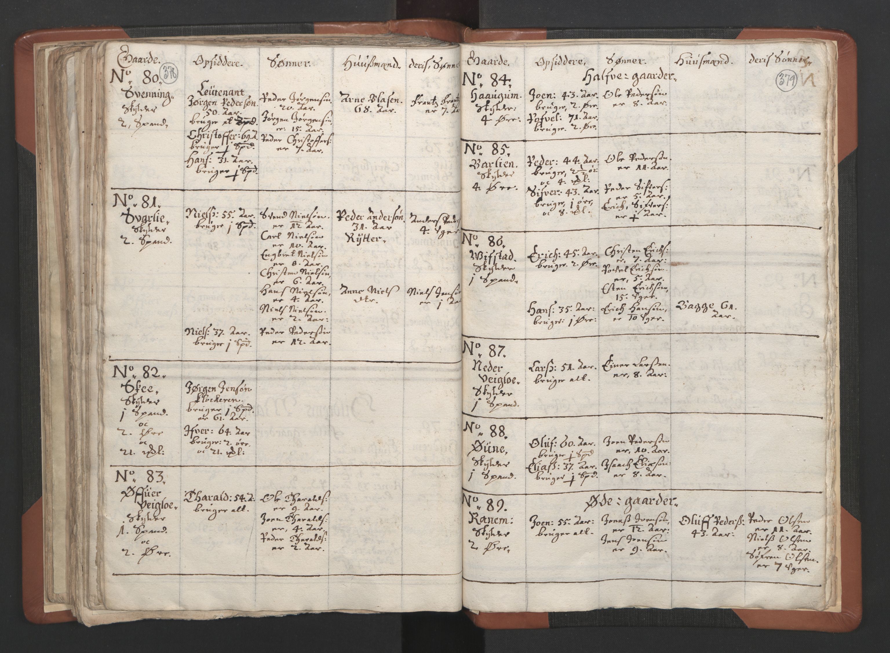 RA, Vicar's Census 1664-1666, no. 34: Namdal deanery, 1664-1666, p. 378-379