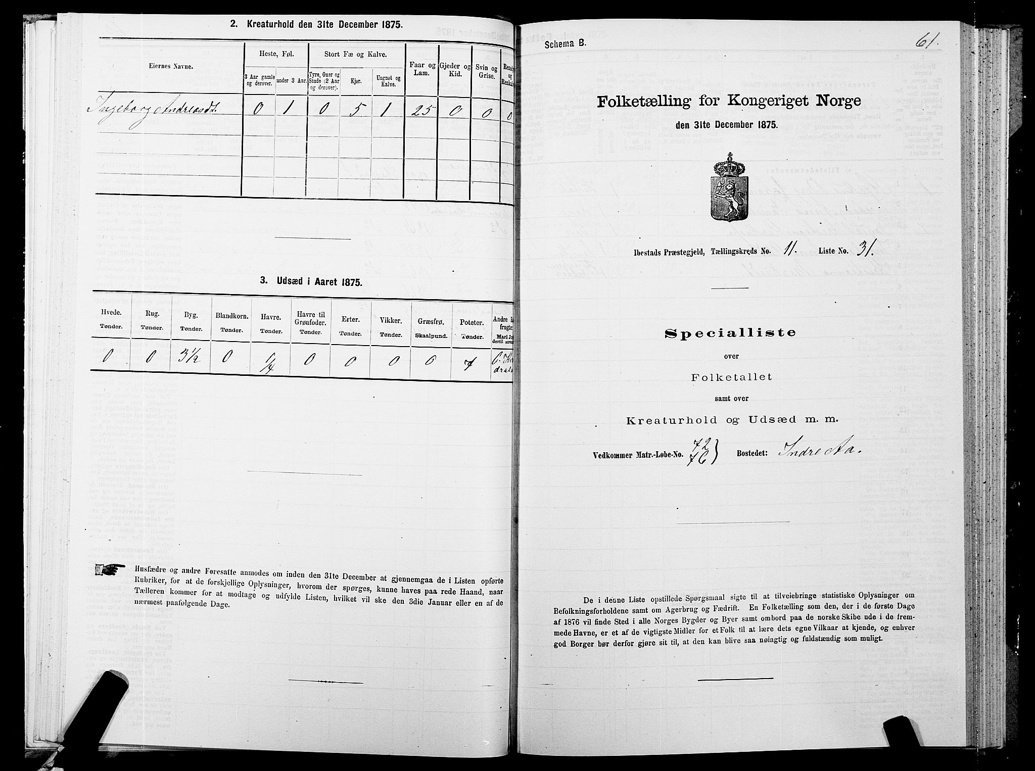 SATØ, 1875 census for 1917P Ibestad, 1875, p. 8061