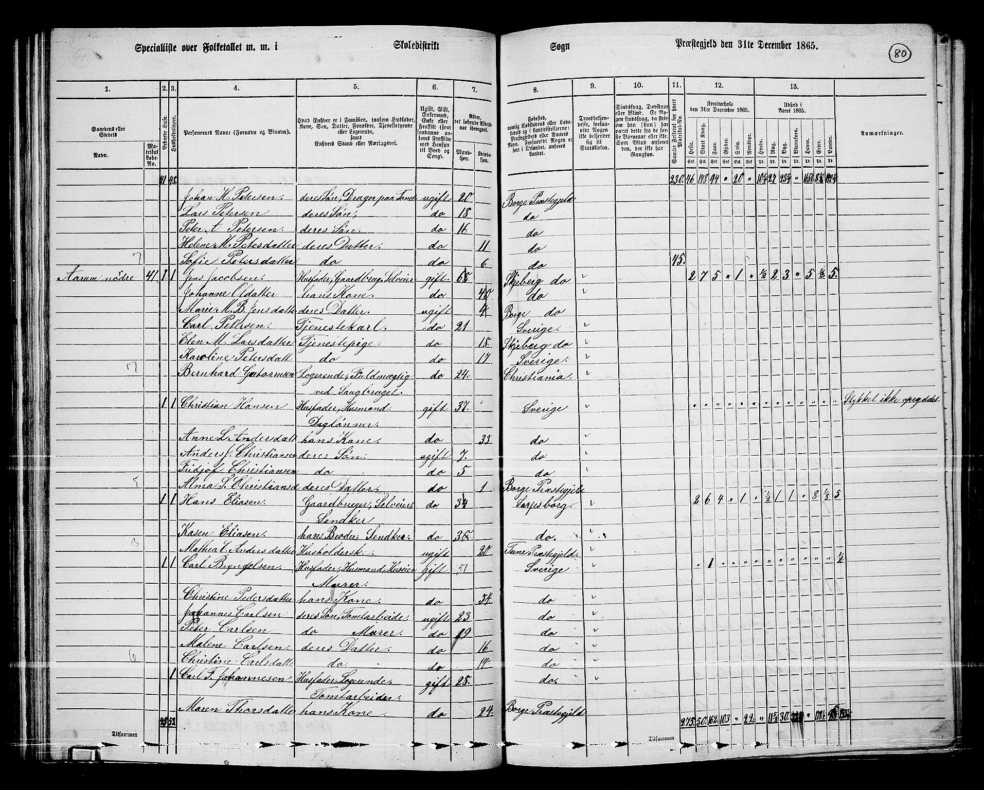 RA, 1865 census for Borge, 1865, p. 75