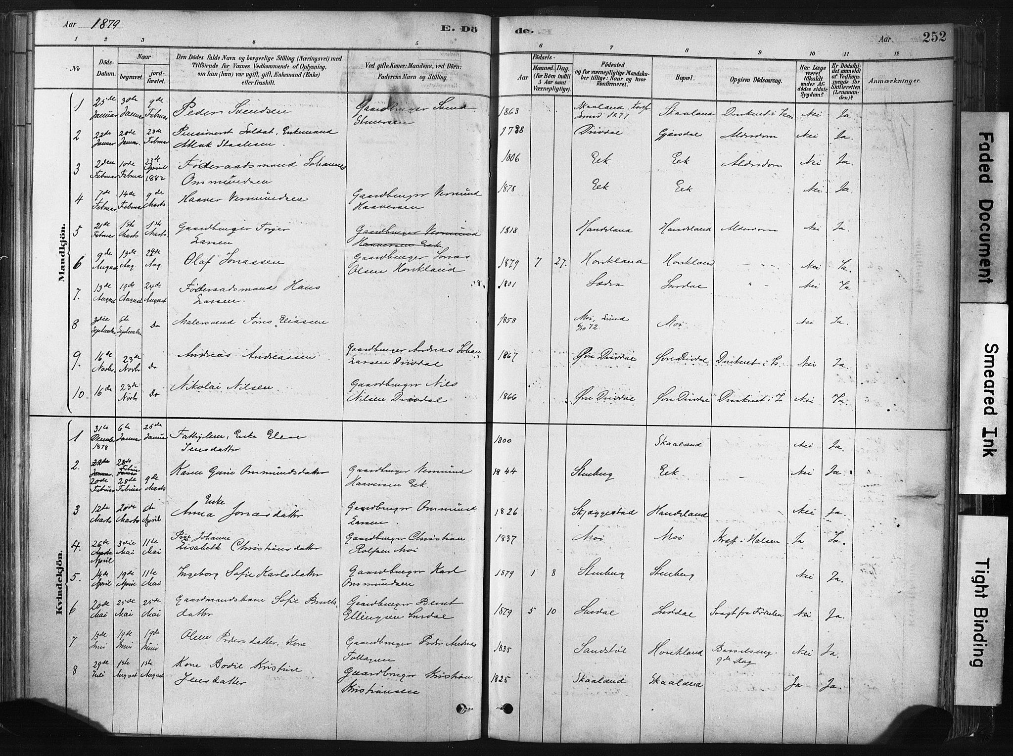 Lund sokneprestkontor, AV/SAST-A-101809/S06/L0011: Parish register (official) no. A 10, 1877-1904, p. 252