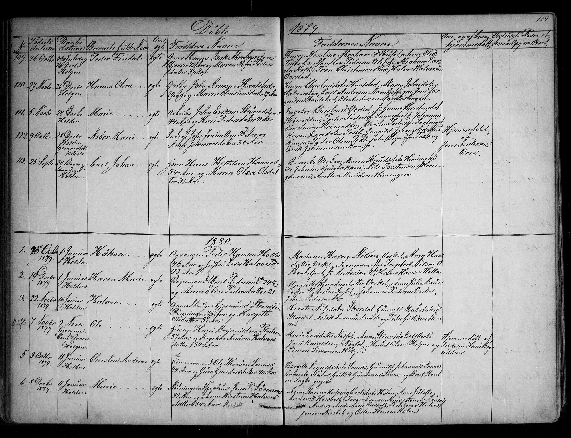 Holla kirkebøker, SAKO/A-272/G/Ga/L0004: Parish register (copy) no. I 4, 1867-1890, p. 114