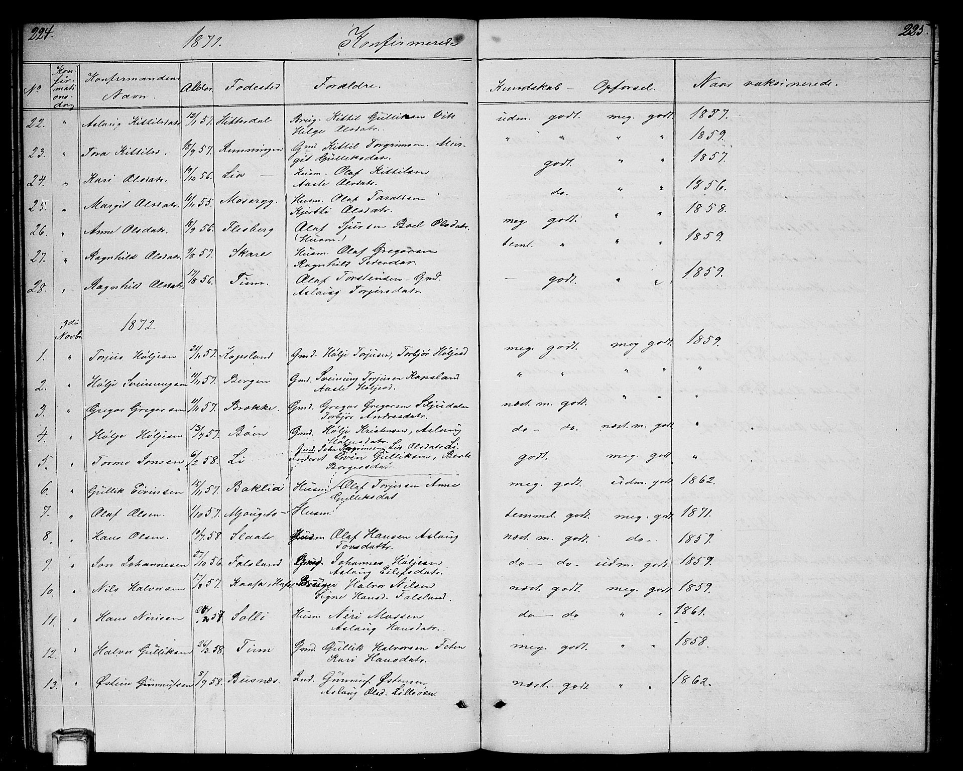 Gransherad kirkebøker, SAKO/A-267/G/Ga/L0002: Parish register (copy) no. I 2, 1854-1886, p. 224-225