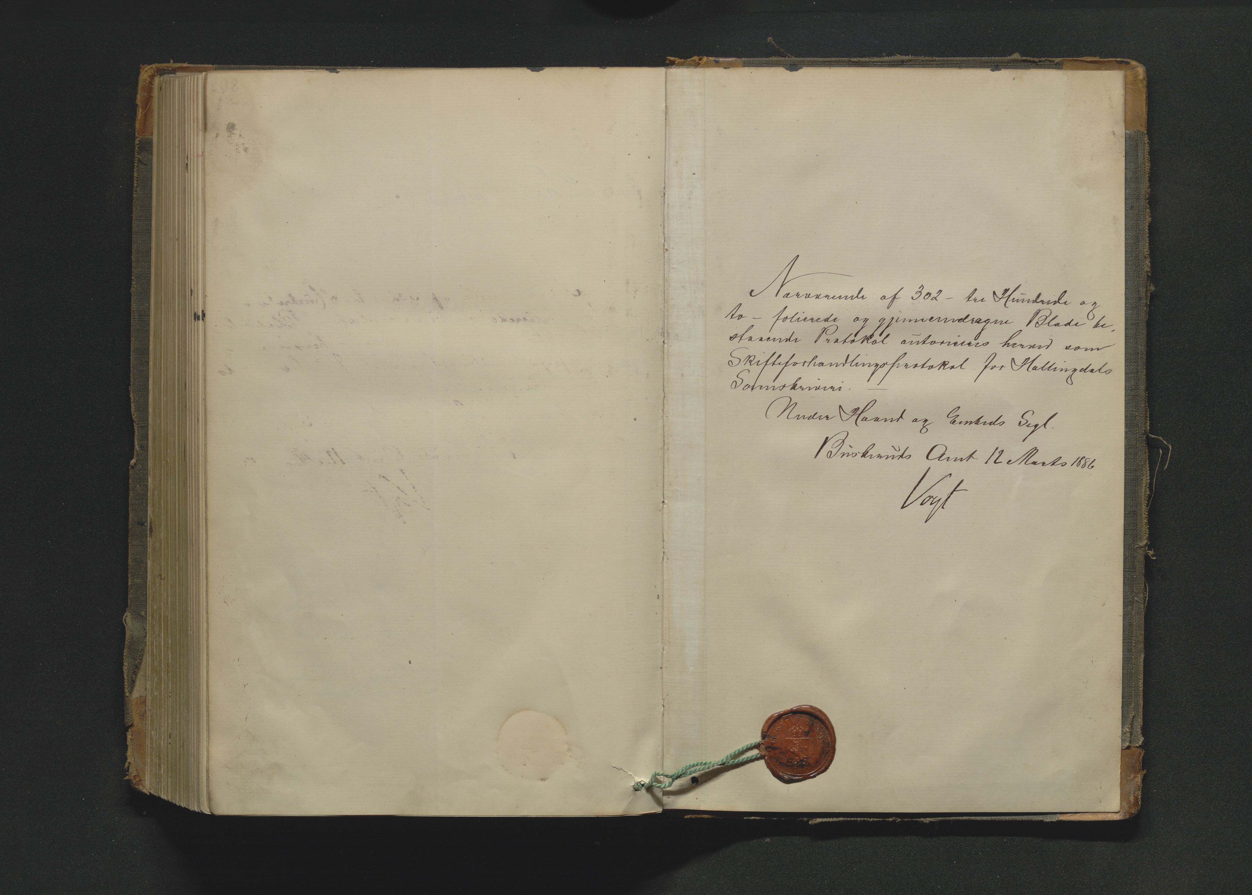 Hallingdal sorenskriveri, SAKO/A-121/H/Hb/Hbc/L0006: Skifteforhandlingsprotokoll, 1886-1894