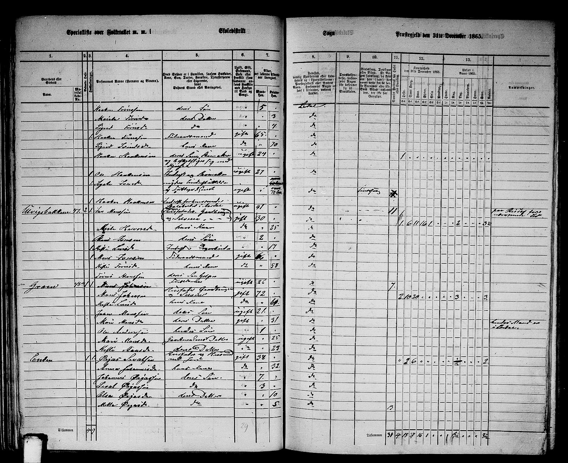 RA, 1865 census for Lærdal, 1865, p. 29